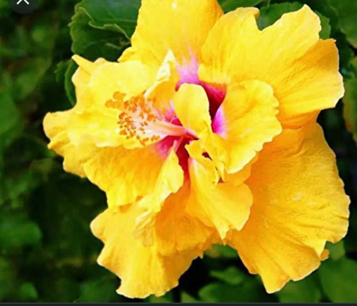 VitaMe OnlyFans header