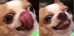 u23697527 OnlyFans header