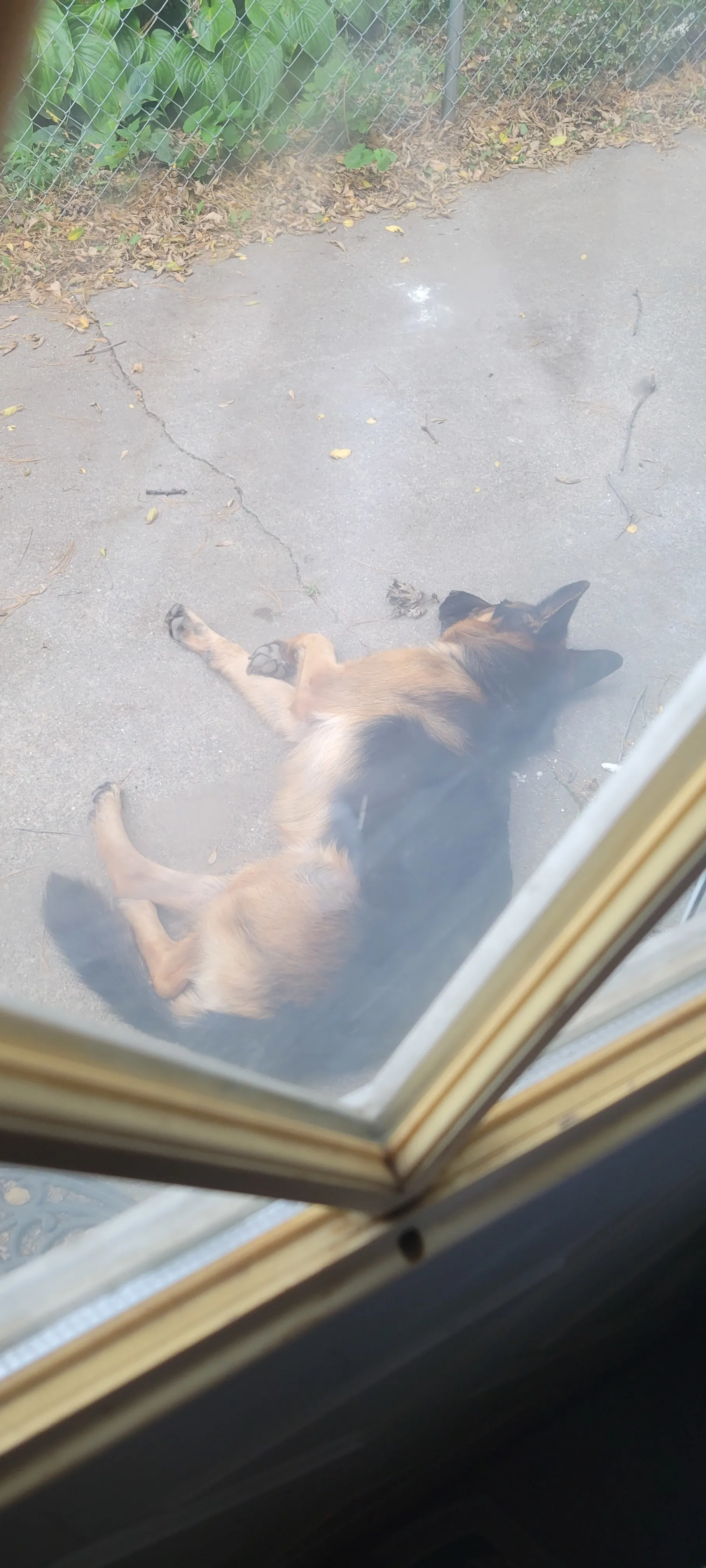 u25422163 OnlyFans header