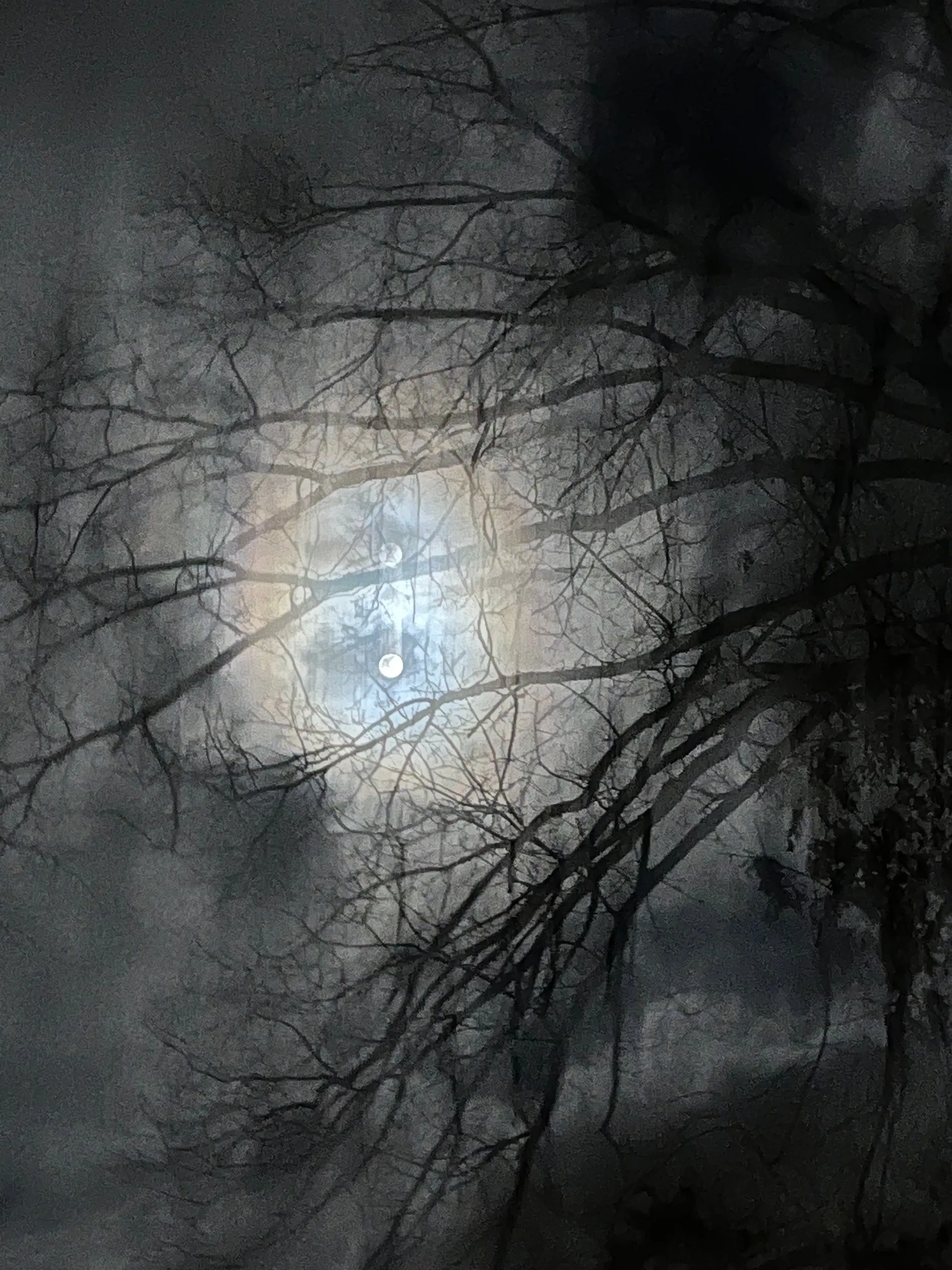 u256551812 OnlyFans header