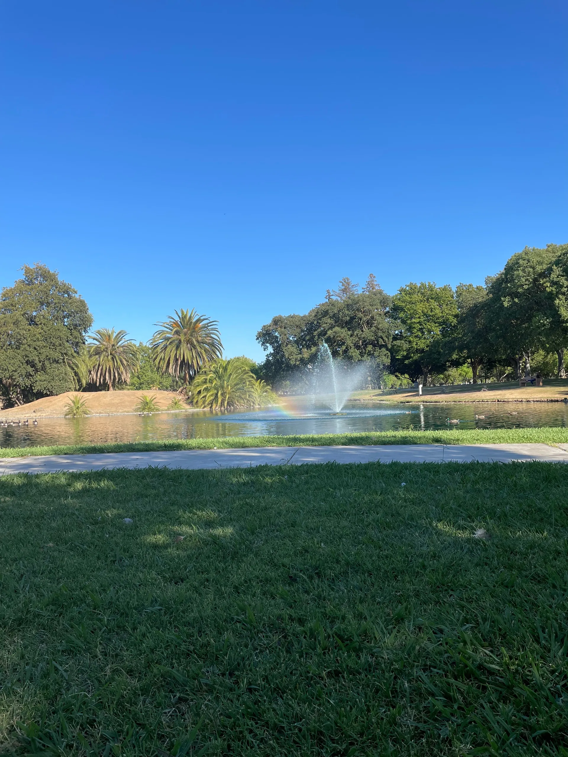 u262275211 OnlyFans header