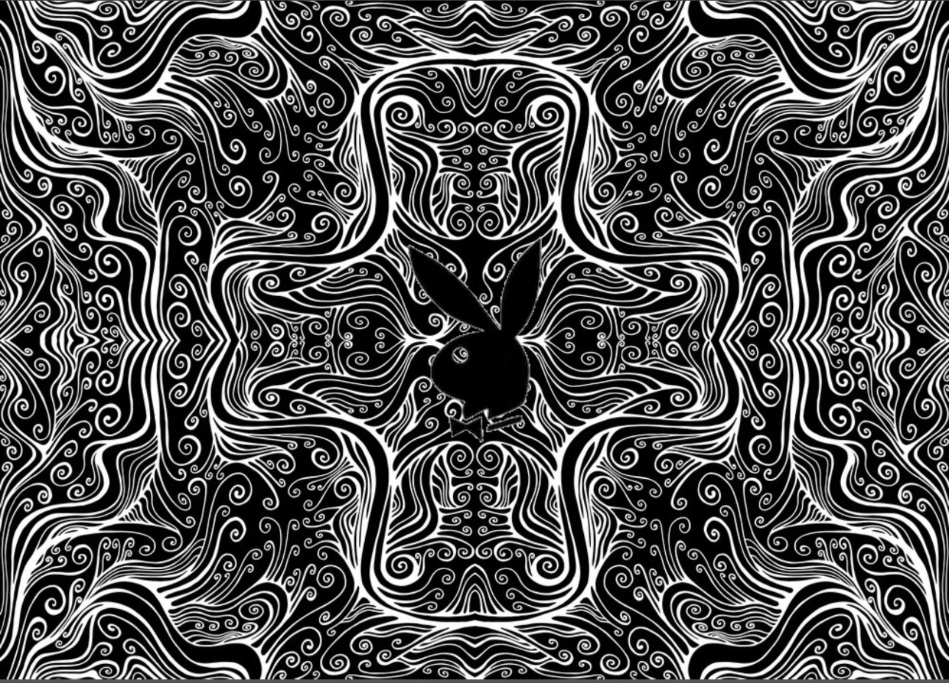 u269230259 OnlyFans header