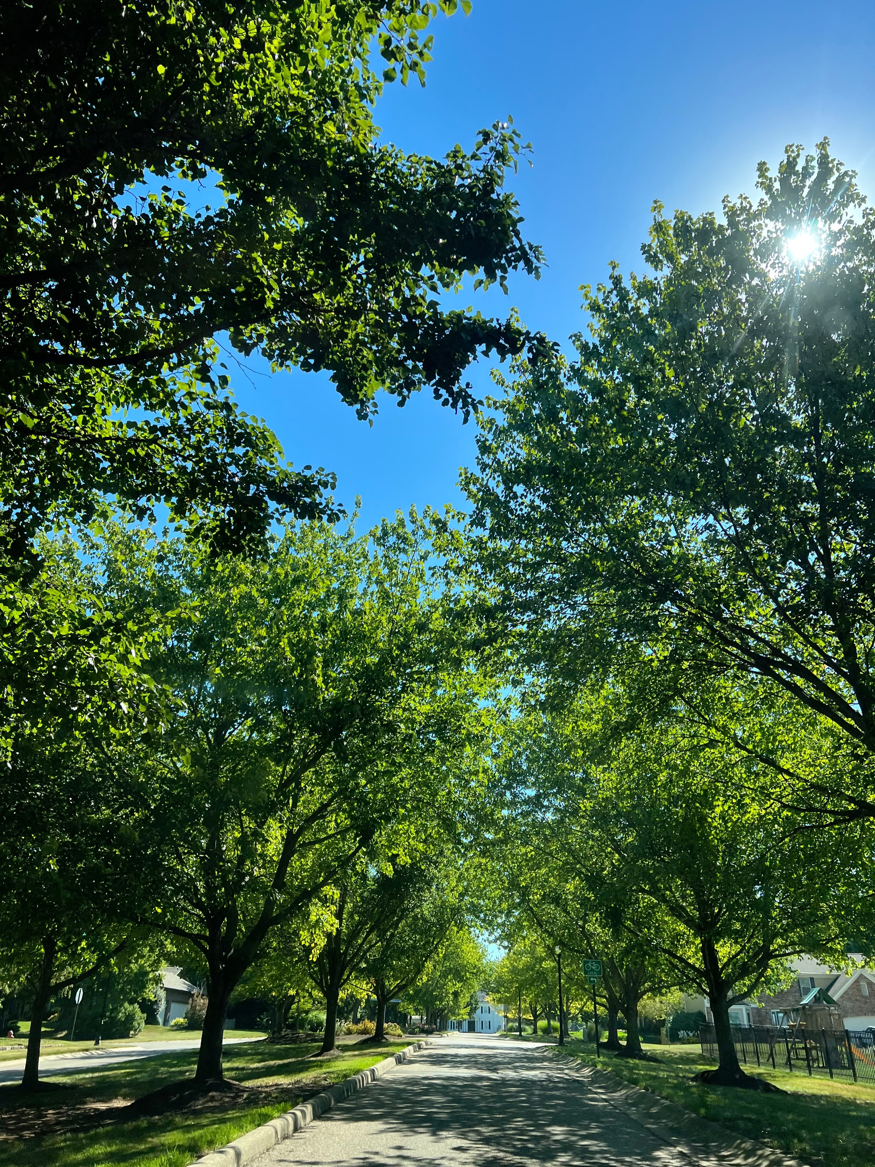 Raven Bowers OnlyFans header