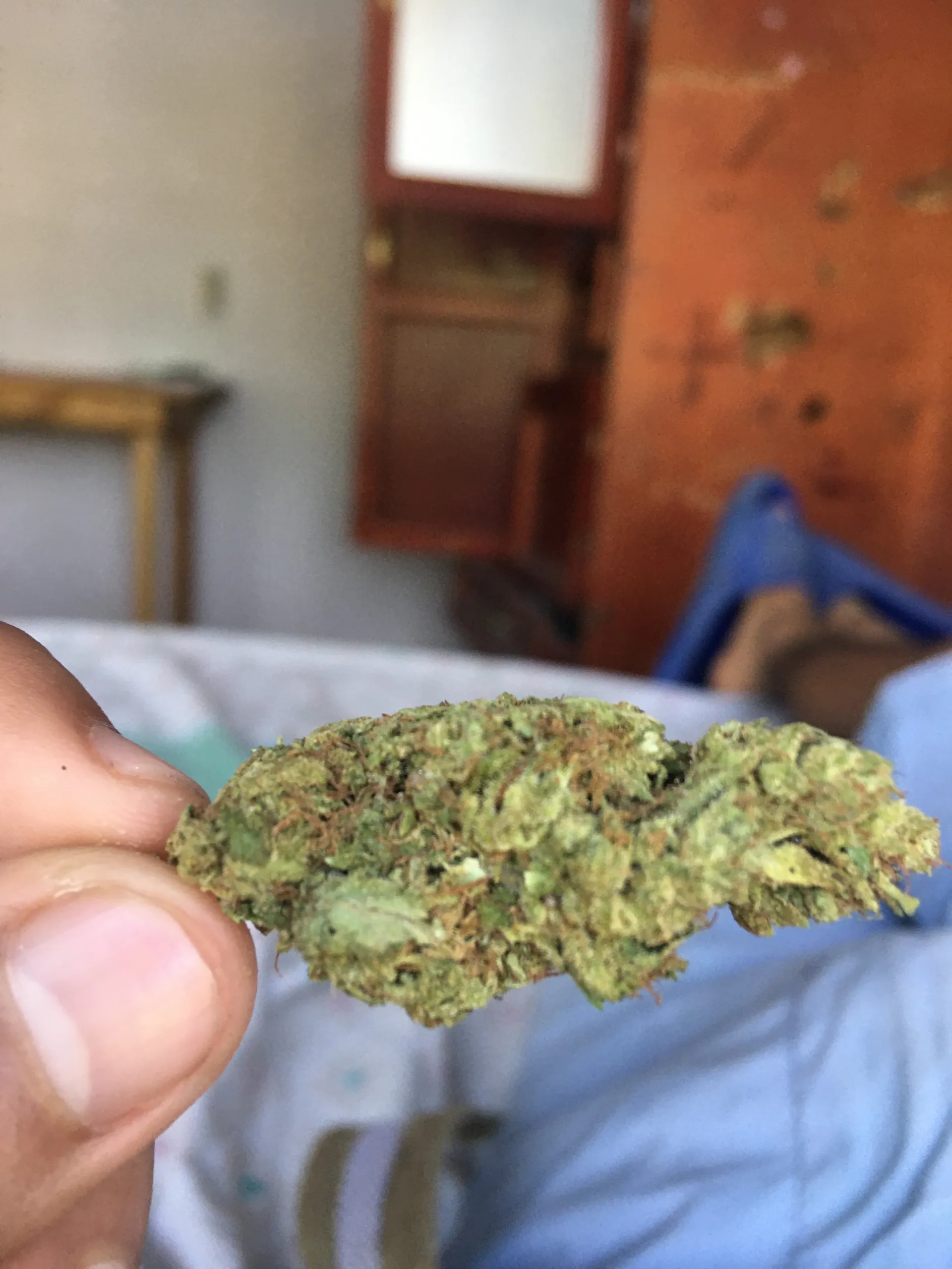 Pepe Trejo OnlyFans header