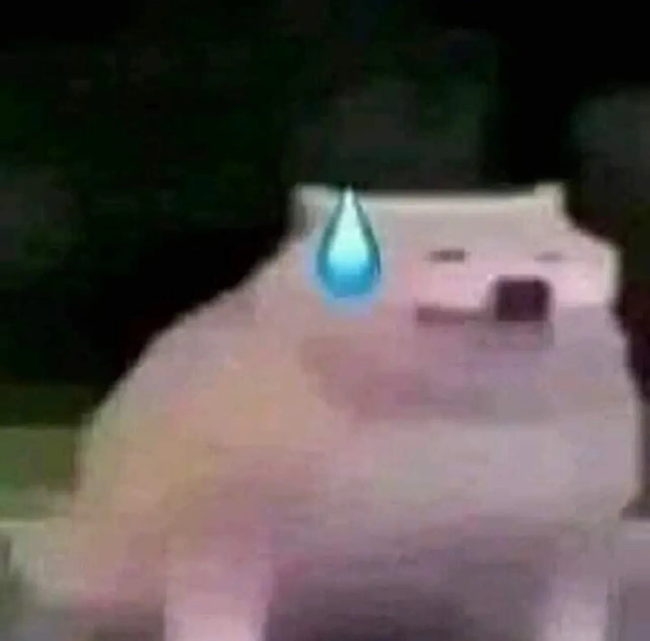 u31365643 OnlyFans header