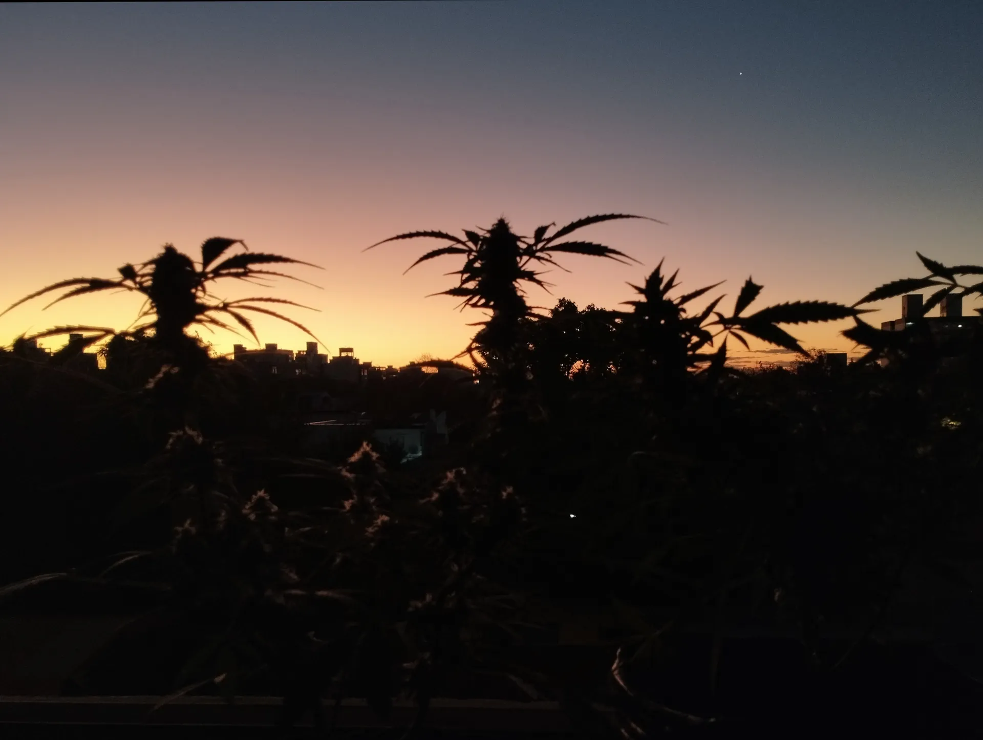 u330719216 OnlyFans header