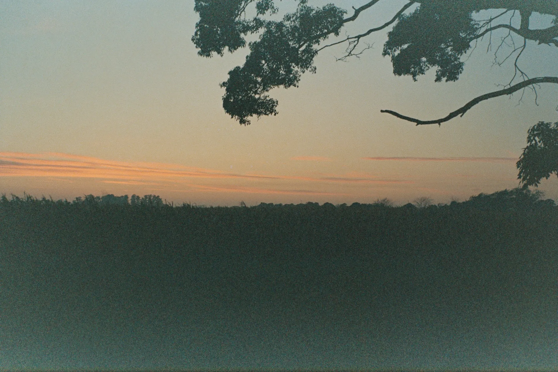 u334053037 OnlyFans header