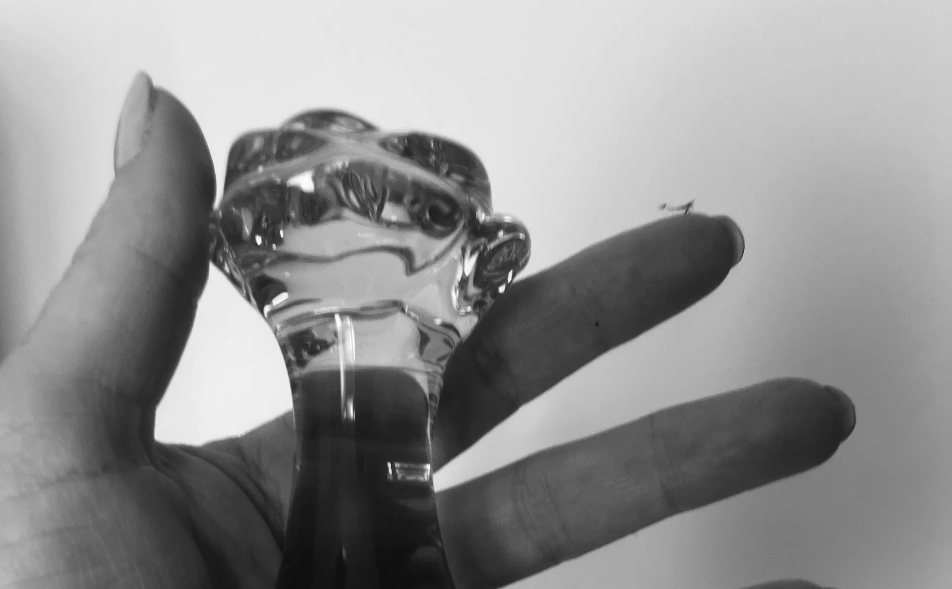 Slave O OnlyFans header