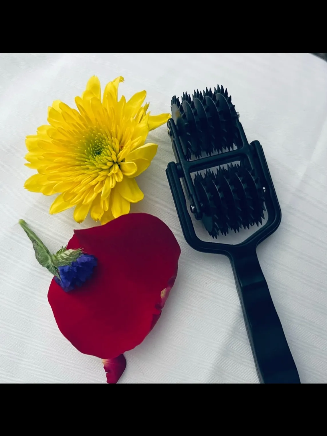 u342394963 OnlyFans header