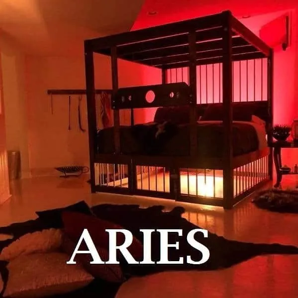 u35541382 OnlyFans header