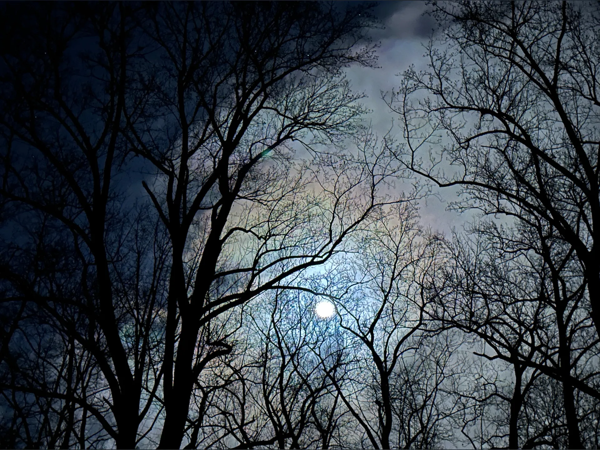 u371086715 OnlyFans header