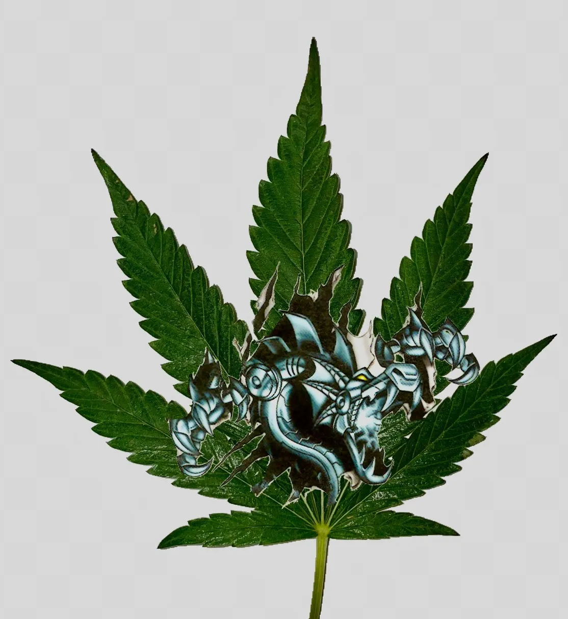 u37140381 OnlyFans header