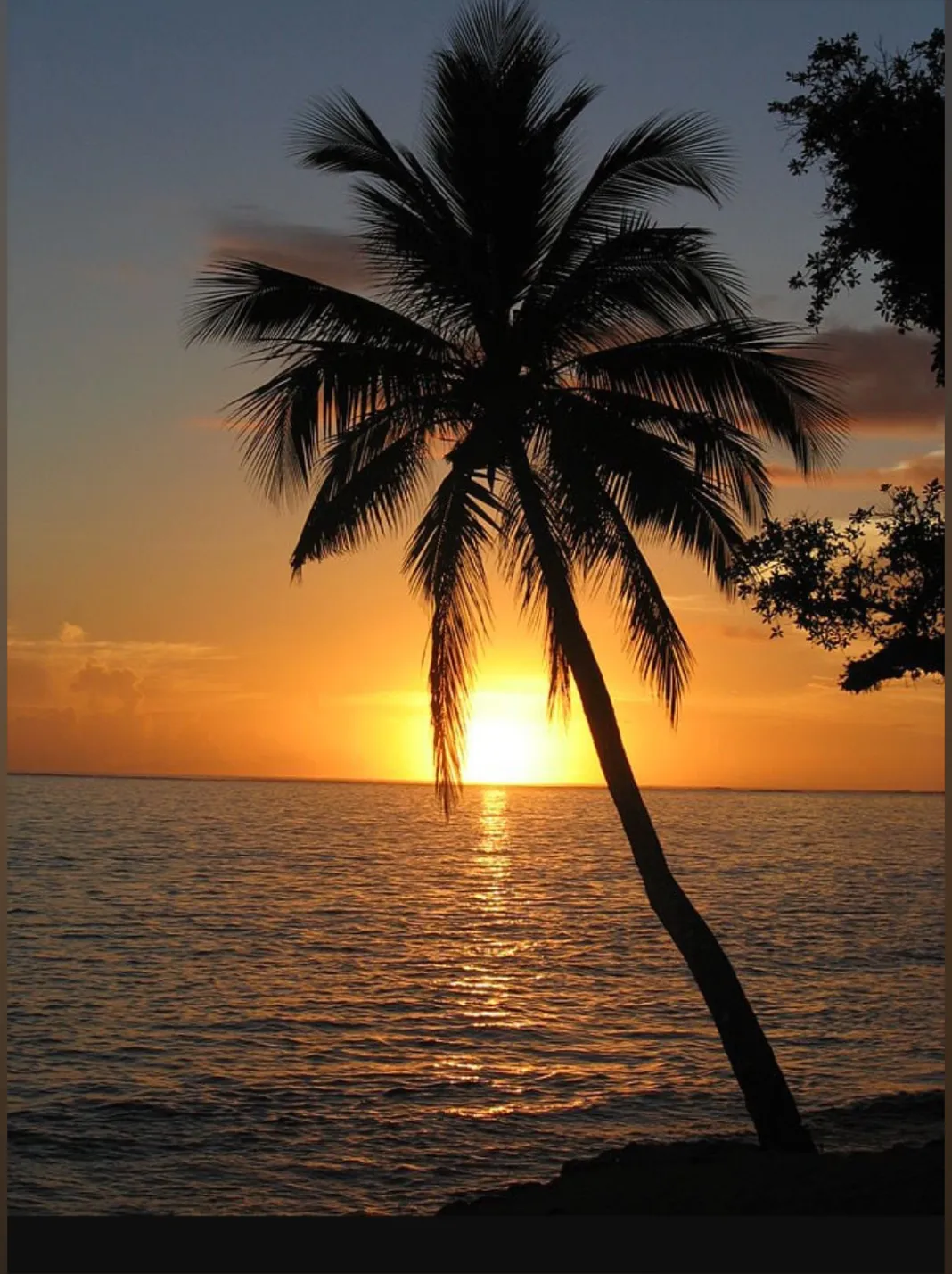 u38277435 OnlyFans header