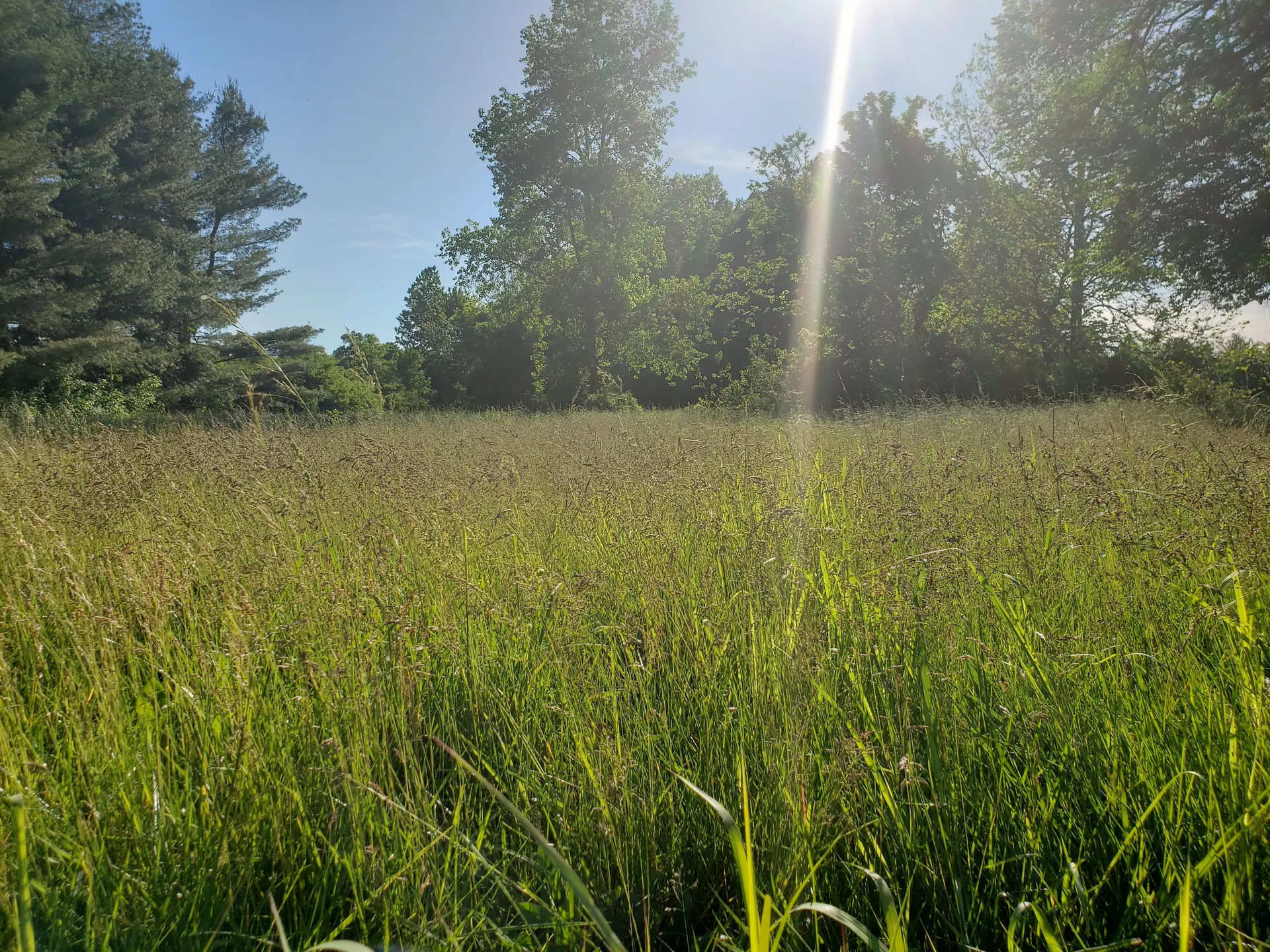 u40061425 OnlyFans header