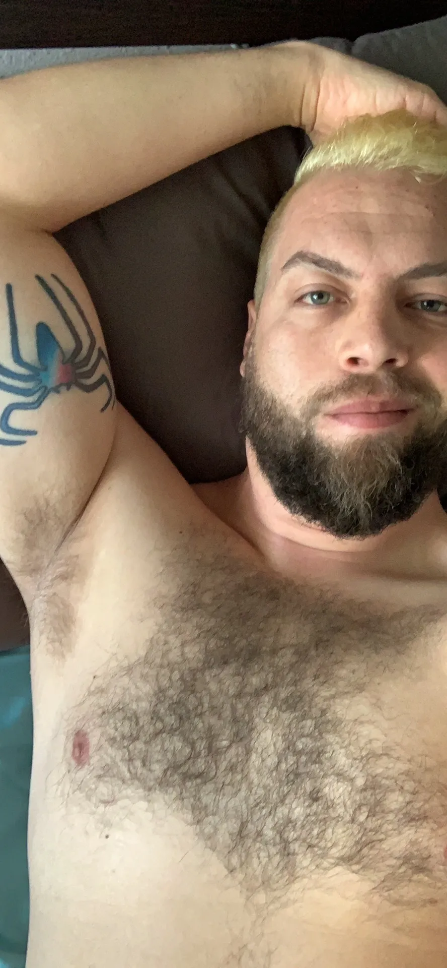 u4263729 OnlyFans header