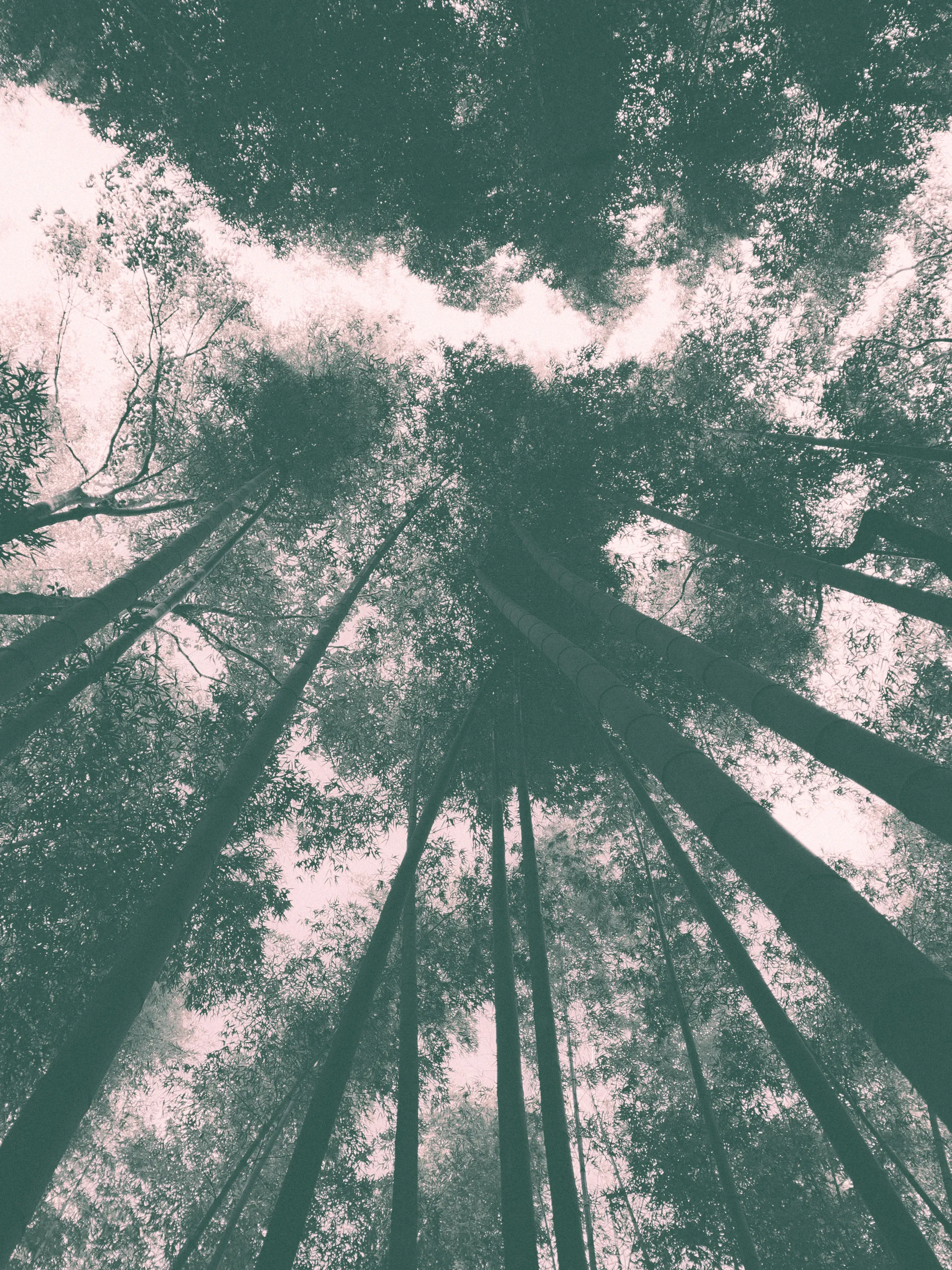 u49236589 OnlyFans header