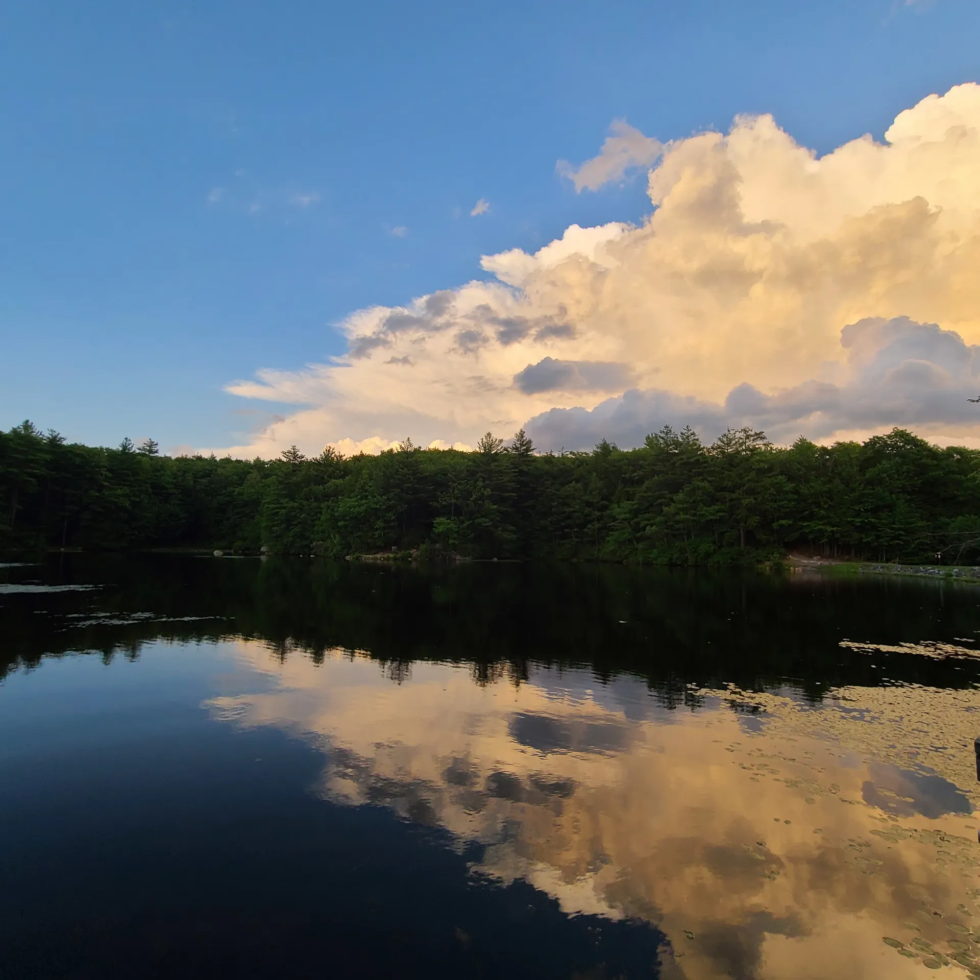 u52070514 OnlyFans header