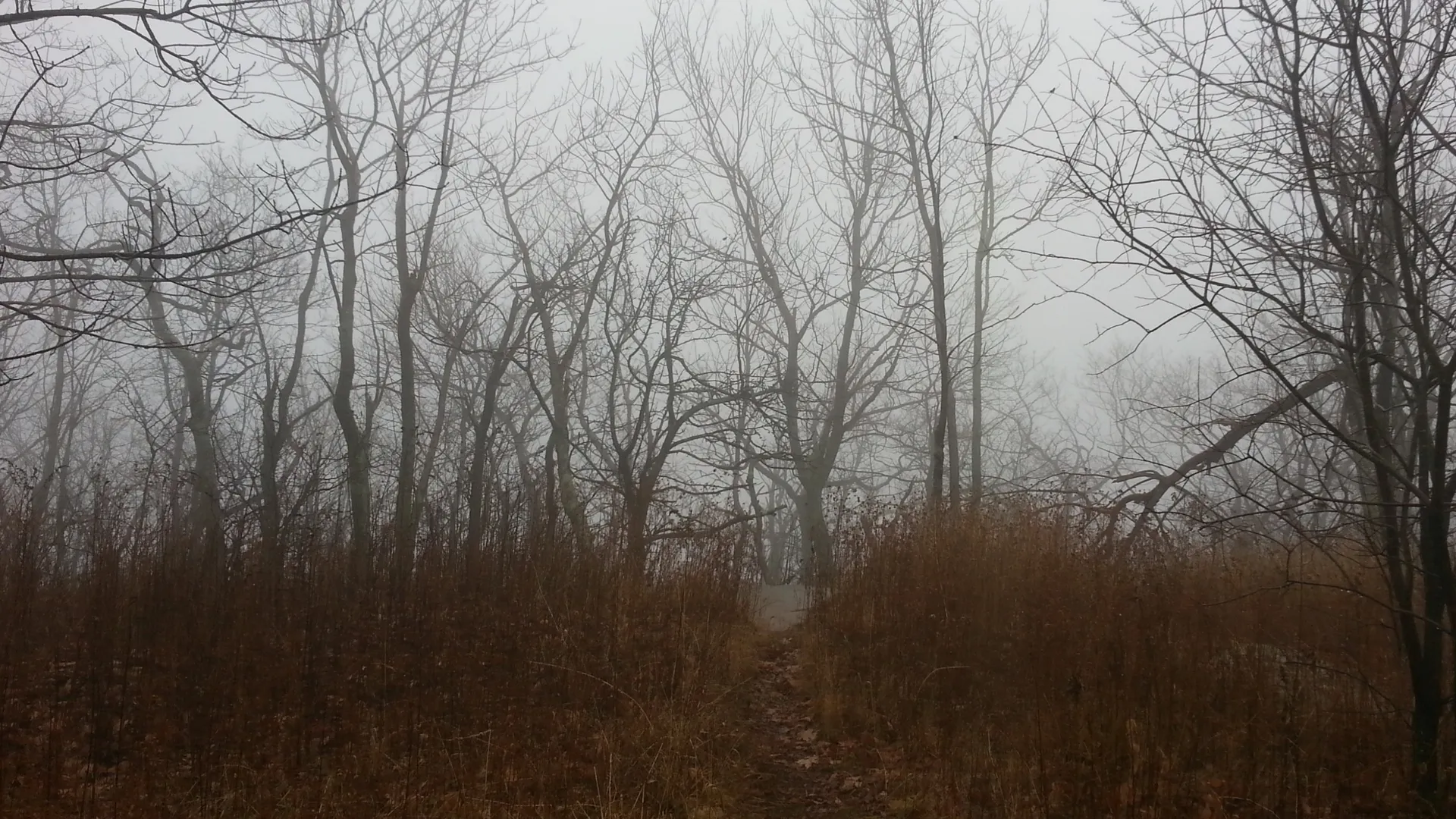 ^¥^ Mike ^¥^ OnlyFans header