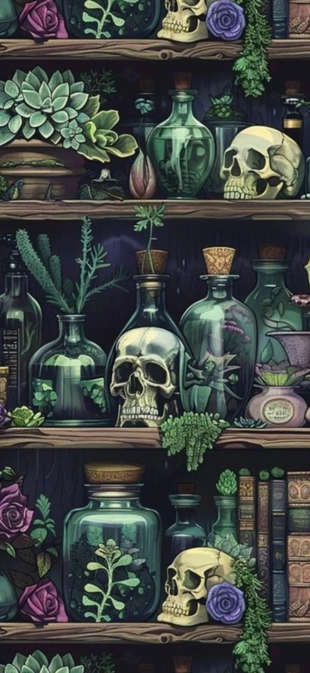 u58041834 OnlyFans header