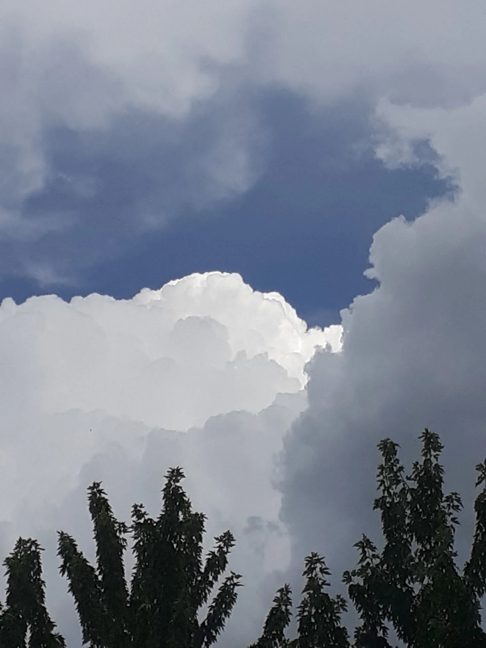 u58053705 OnlyFans header