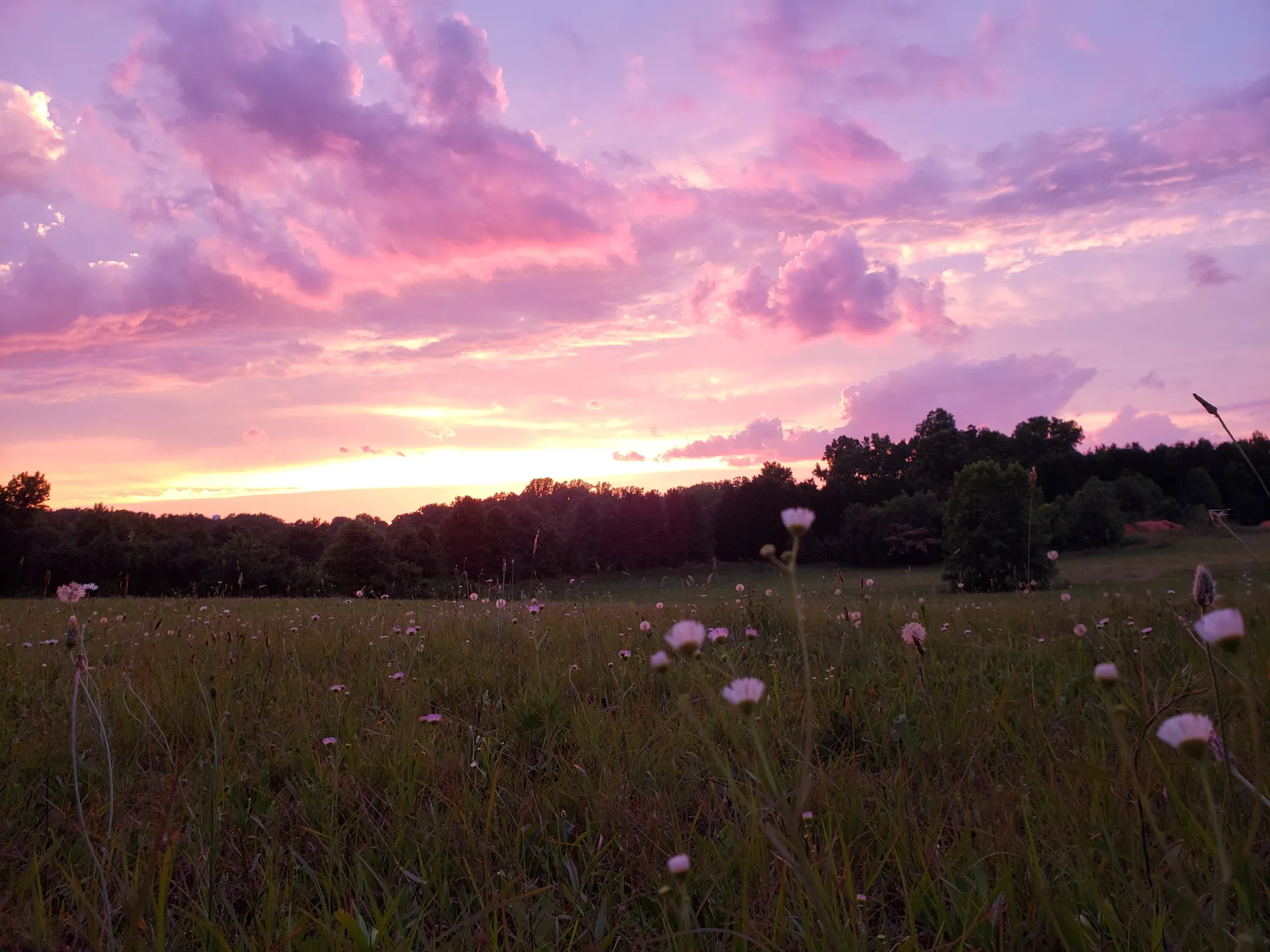 u58356927 OnlyFans header