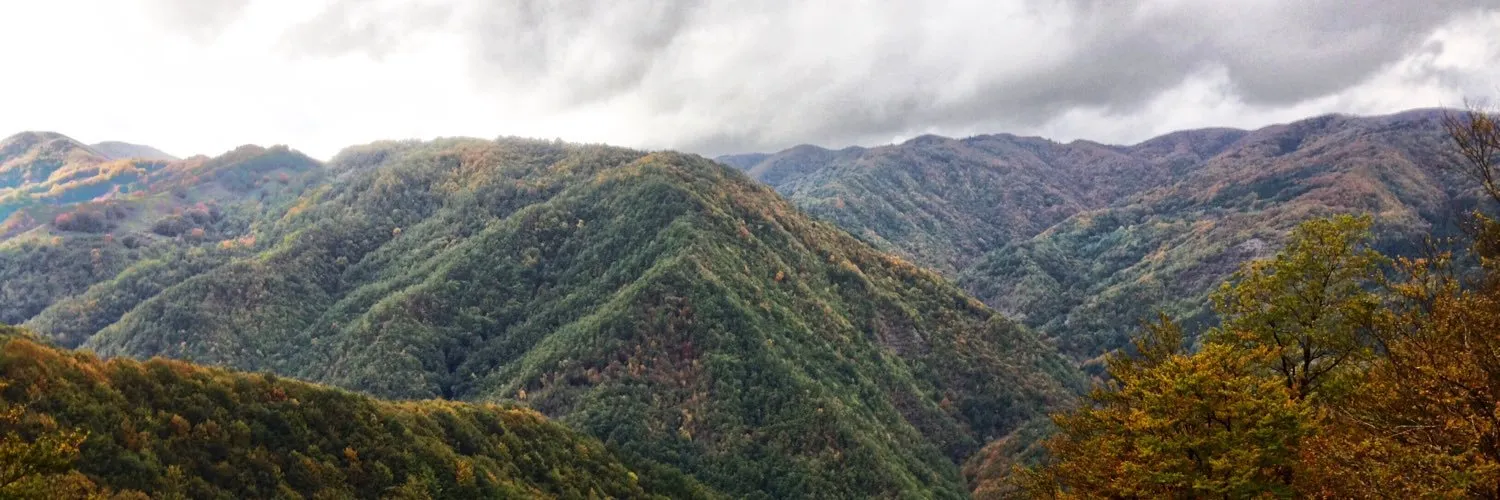 u58636192 OnlyFans header