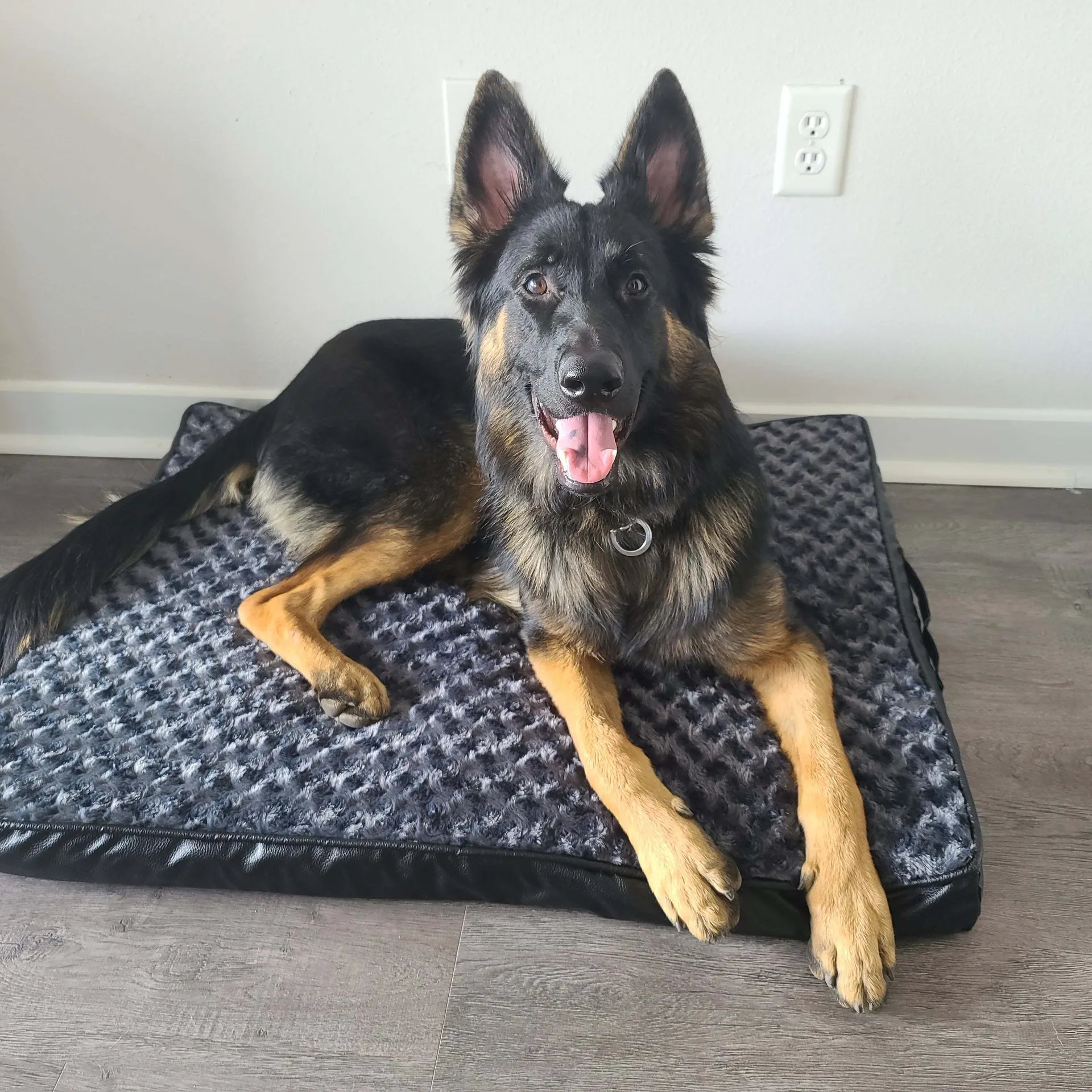 u5921845 OnlyFans header