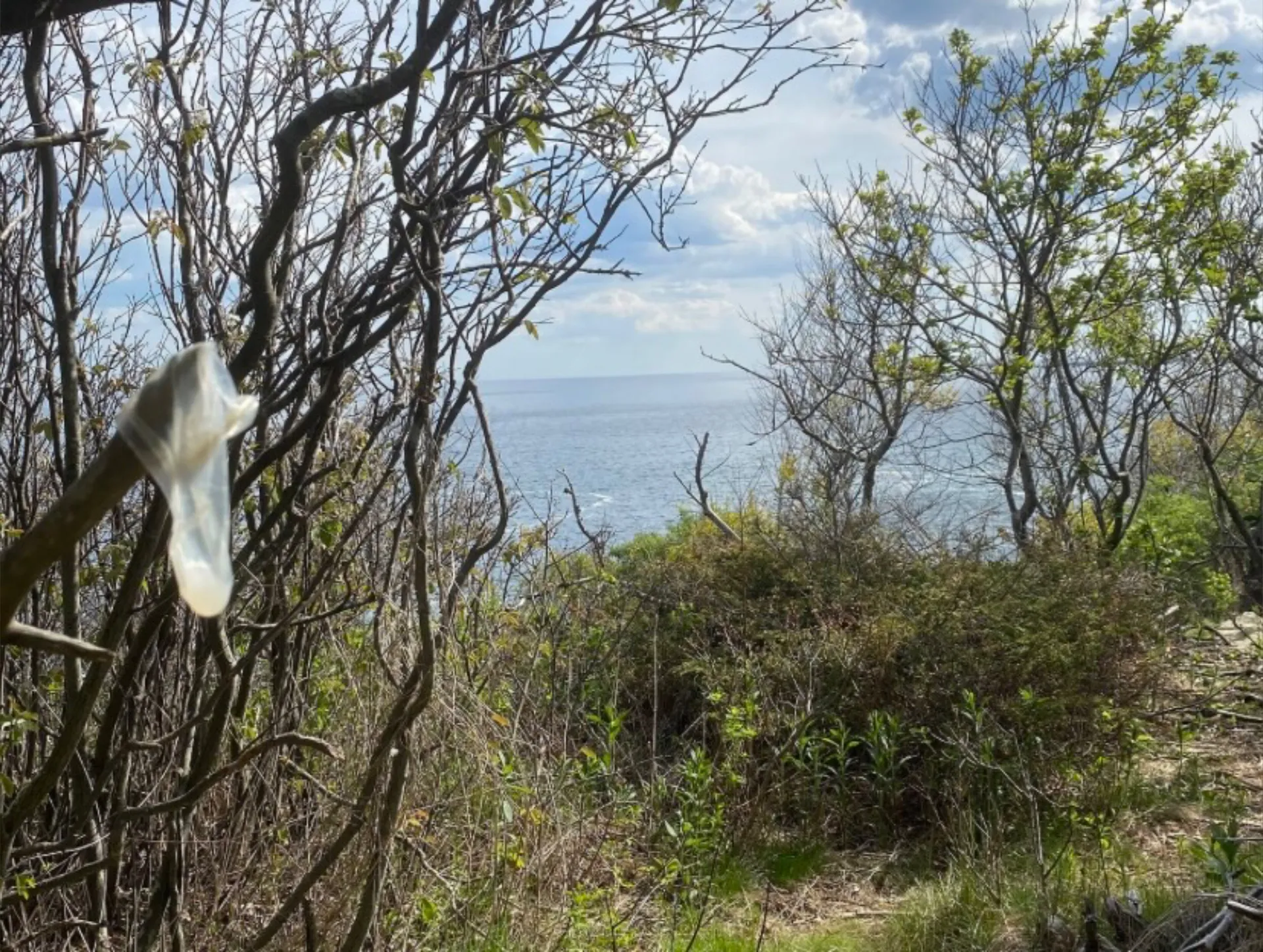 u59689295 OnlyFans header