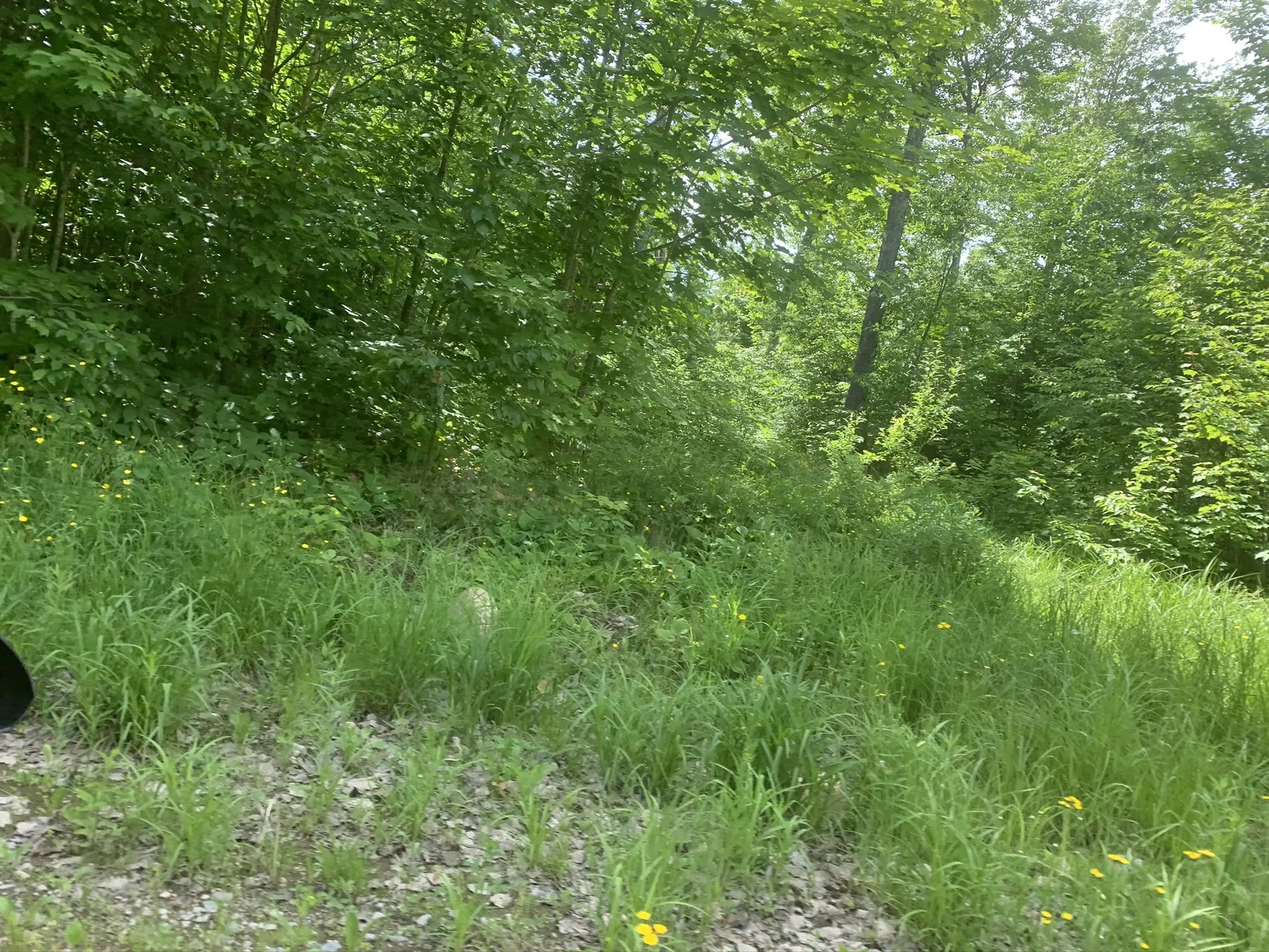 u65183864 OnlyFans header