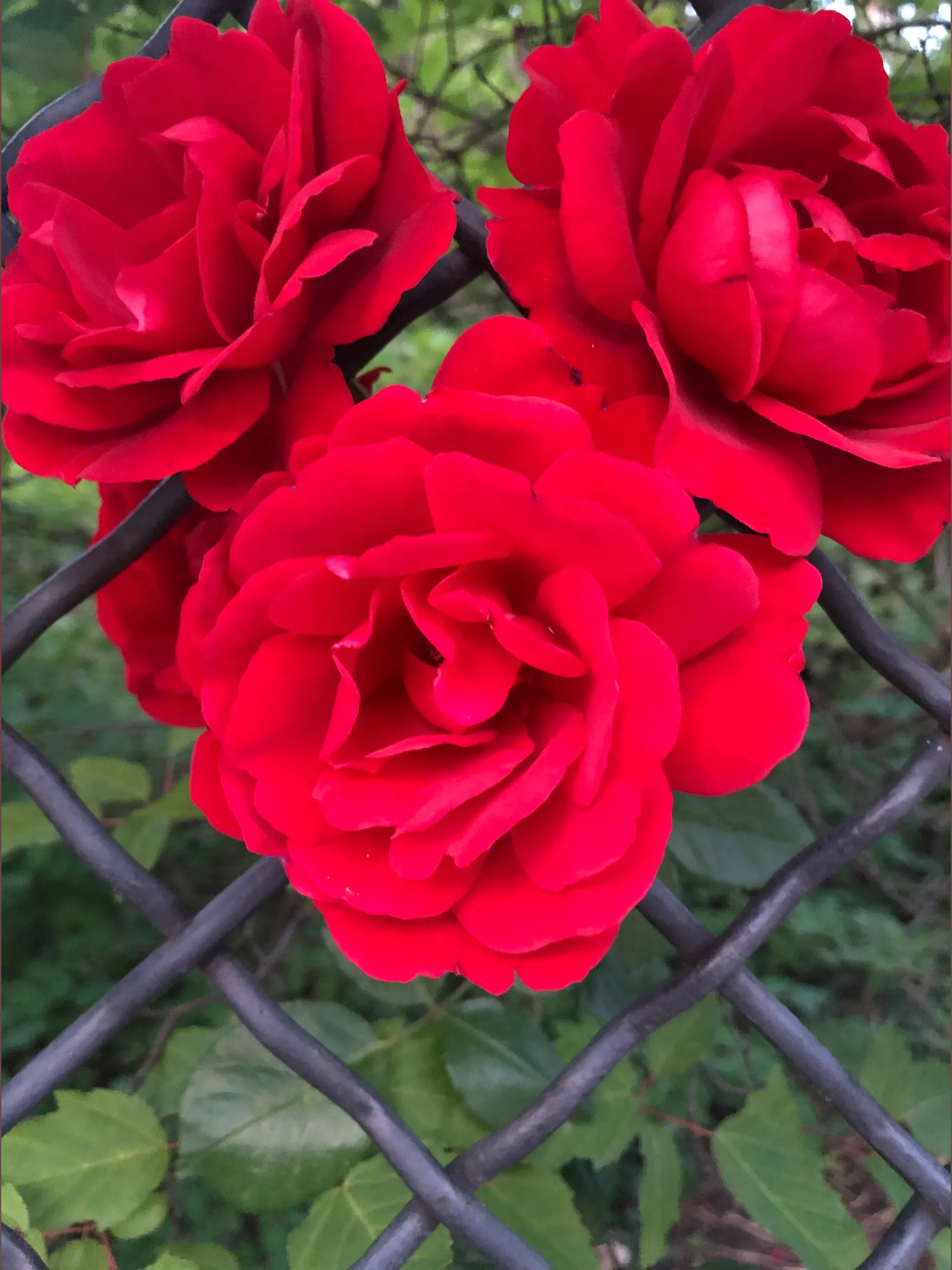 u71591209 OnlyFans header