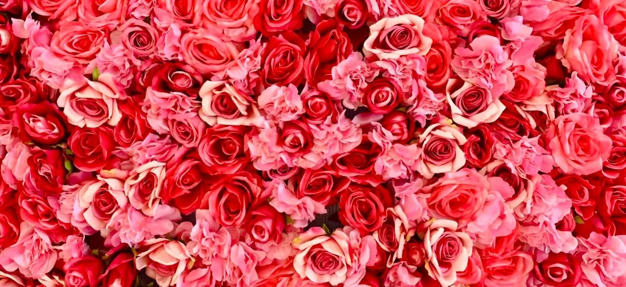 u71620728 OnlyFans header