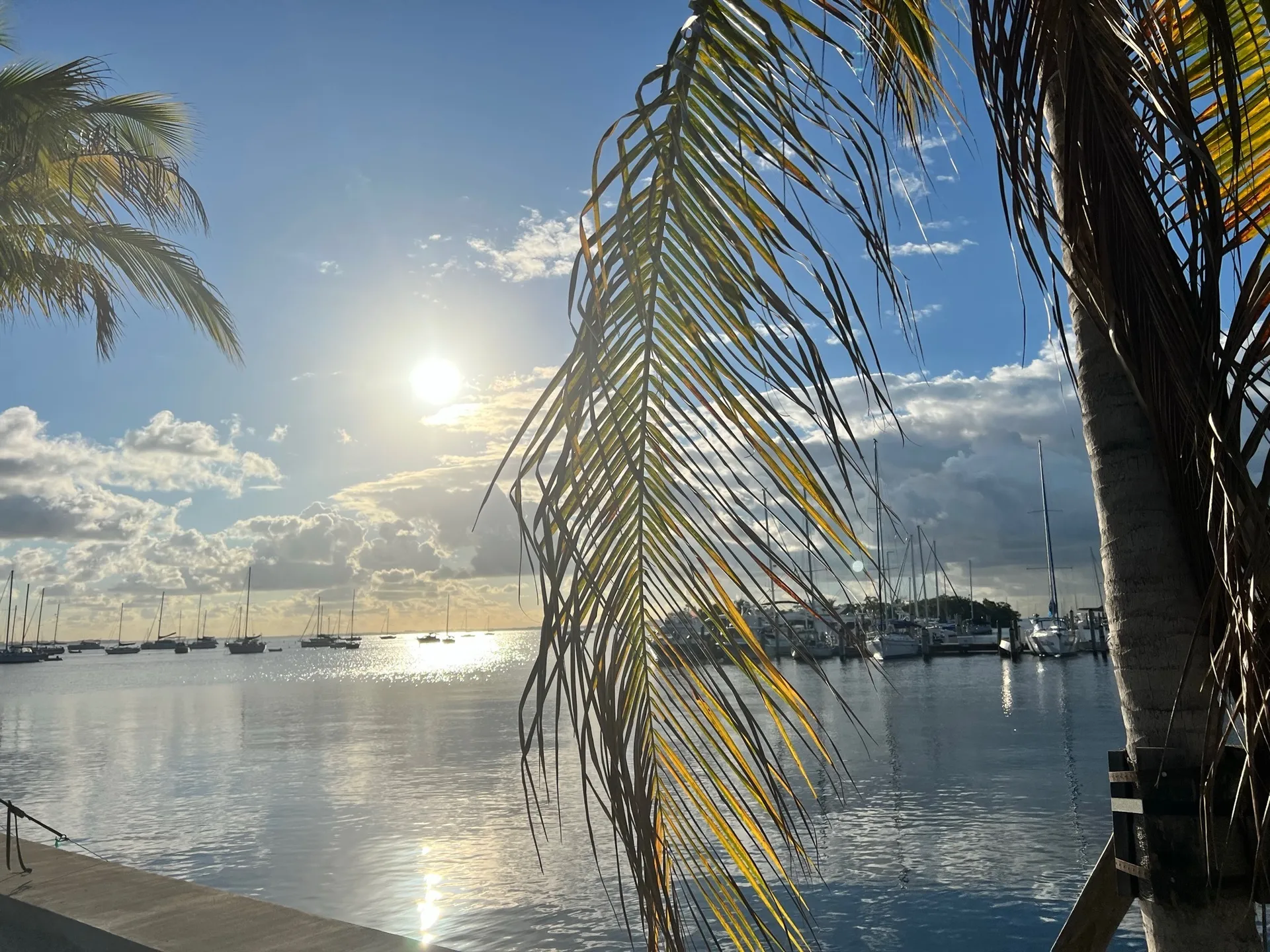 u72355582 OnlyFans header