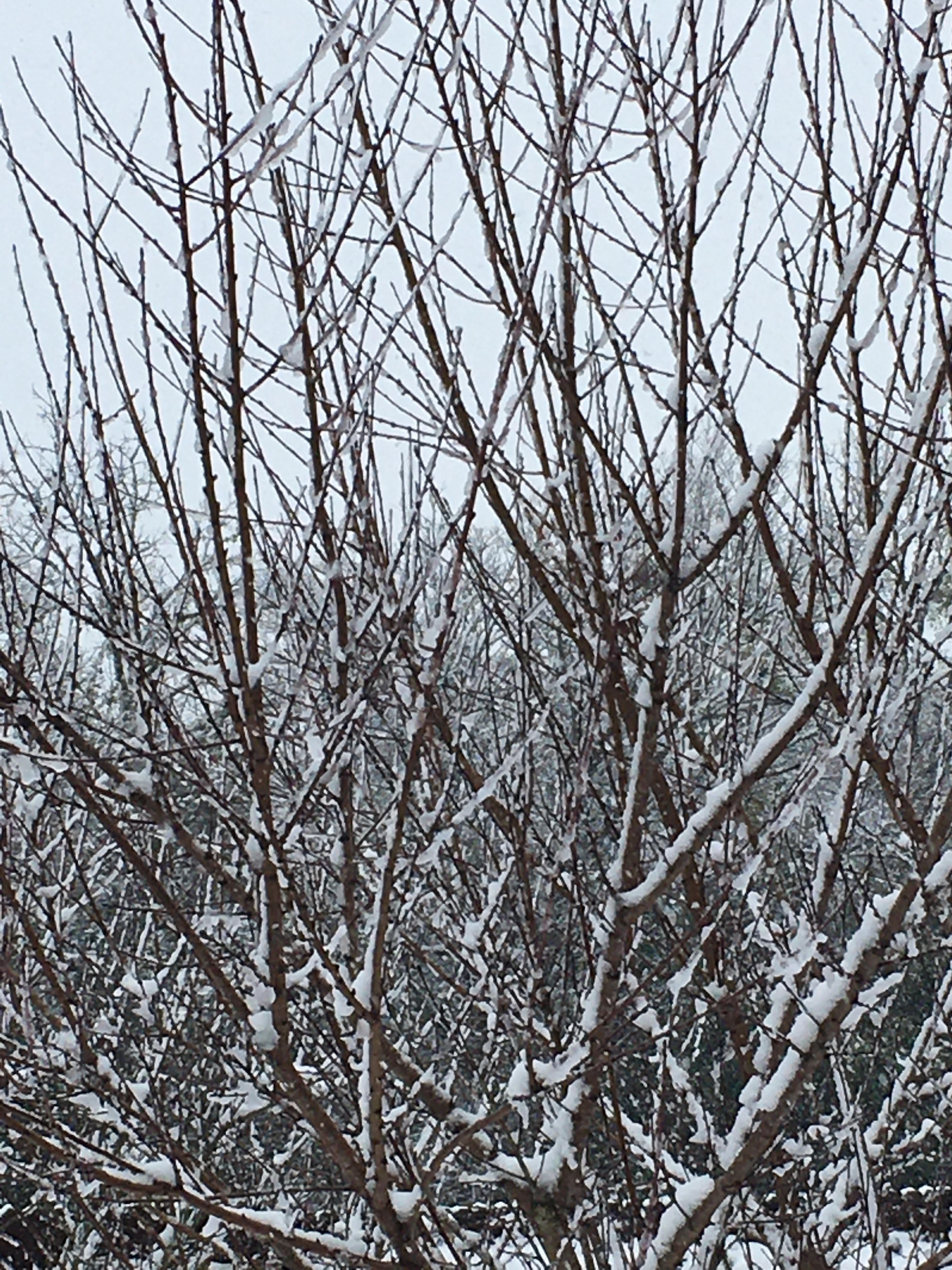 Helen OnlyFans header