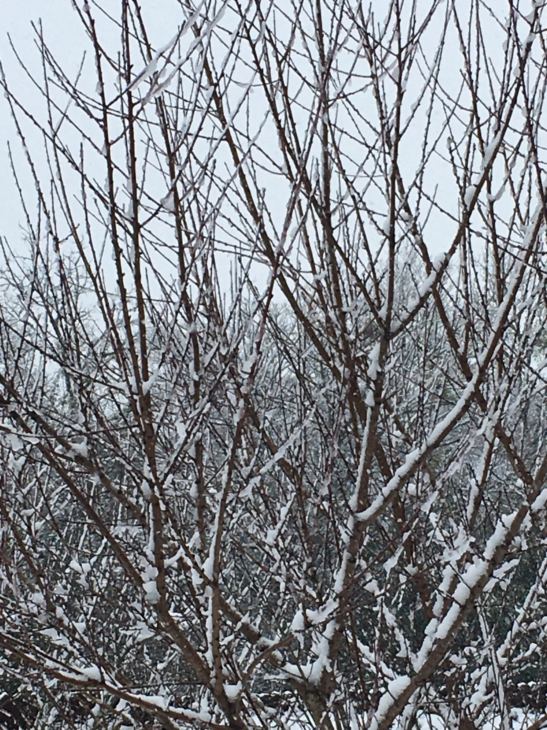 Helen OnlyFans header