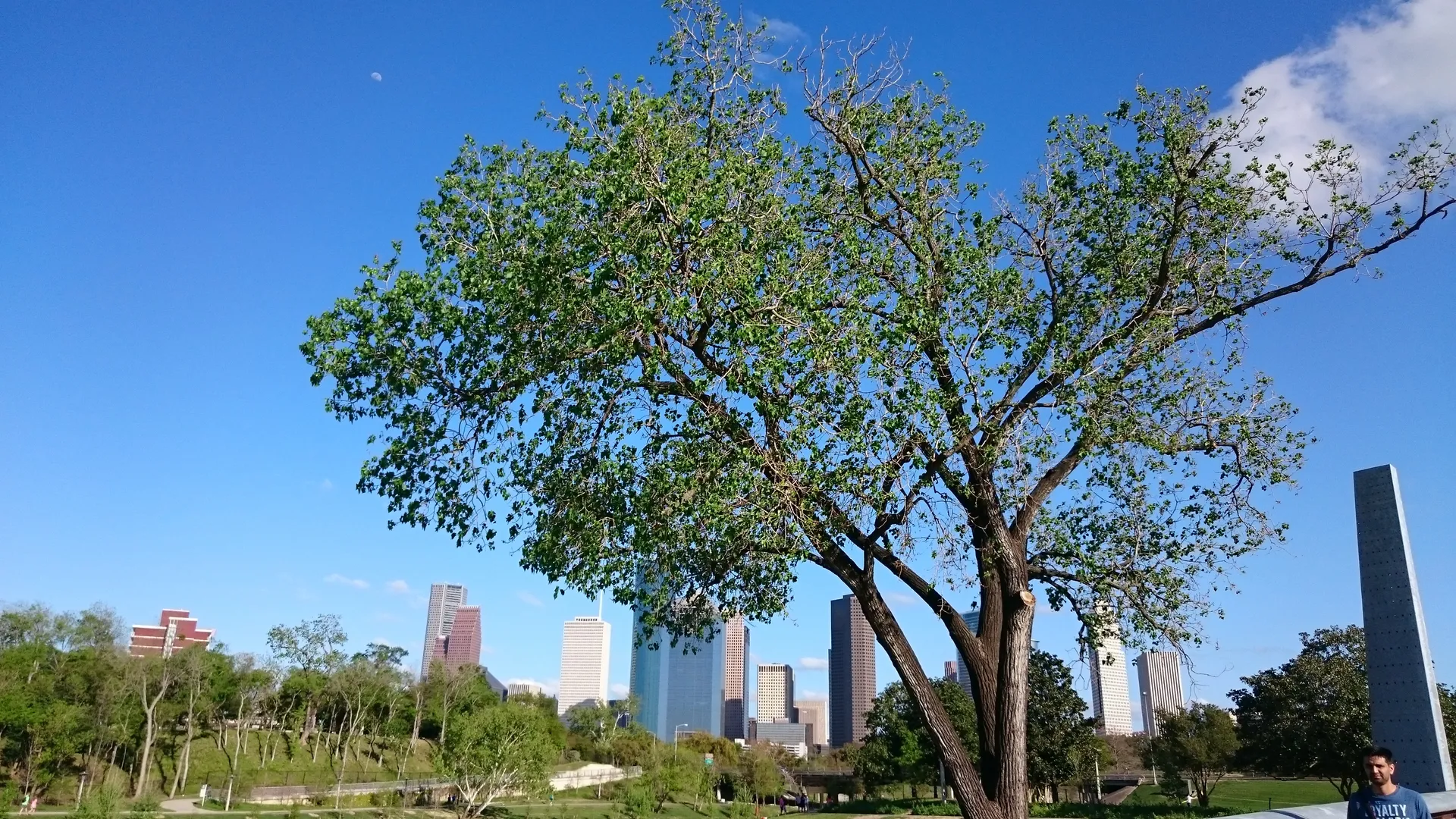 u77876094 OnlyFans header