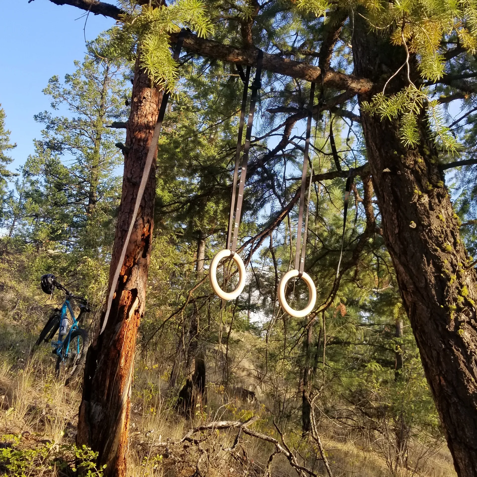 u80608194 OnlyFans header