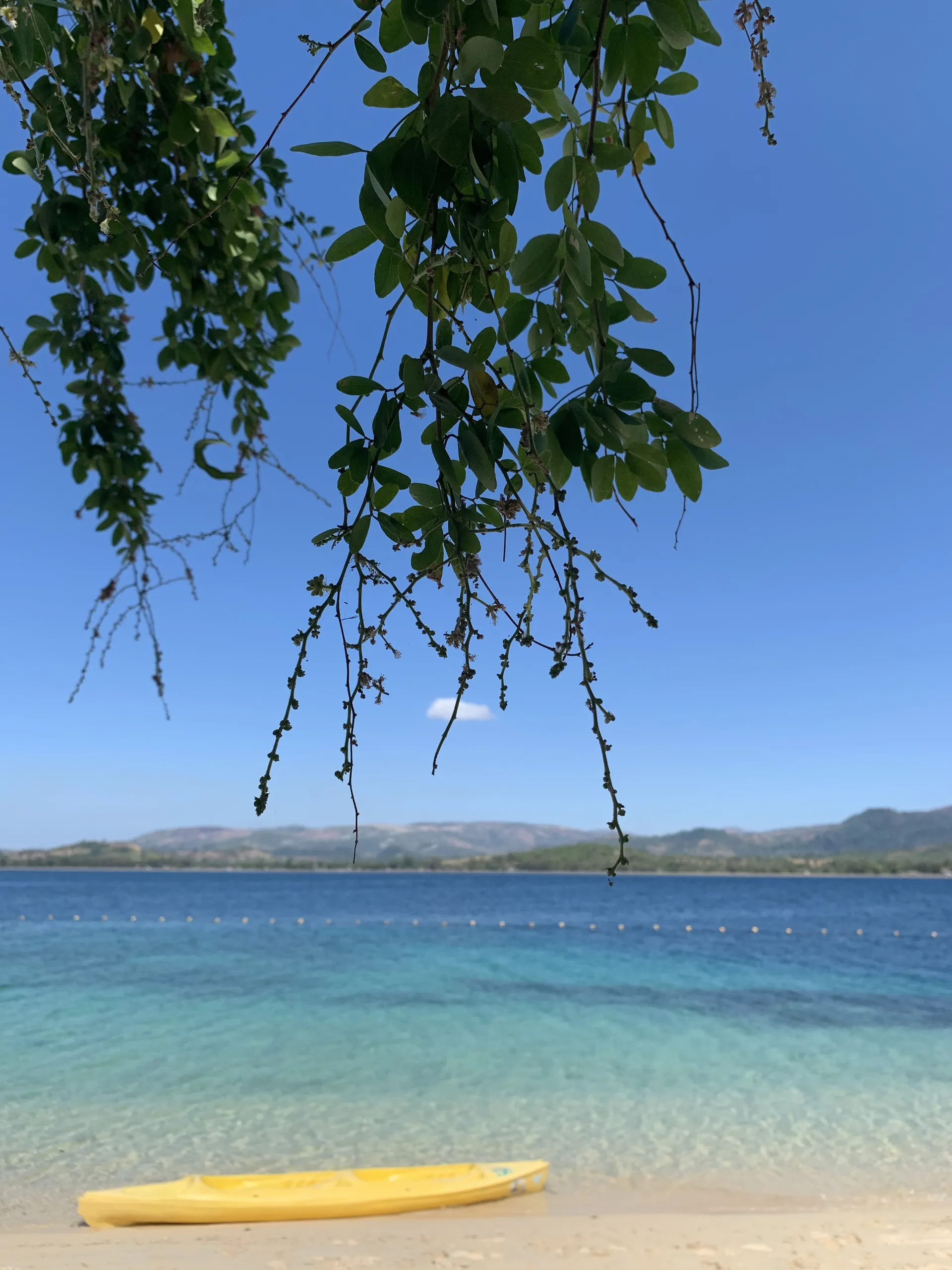 u8530877 OnlyFans header