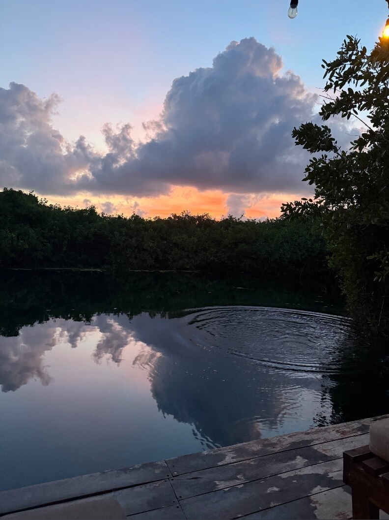 Perv Papi OnlyFans header