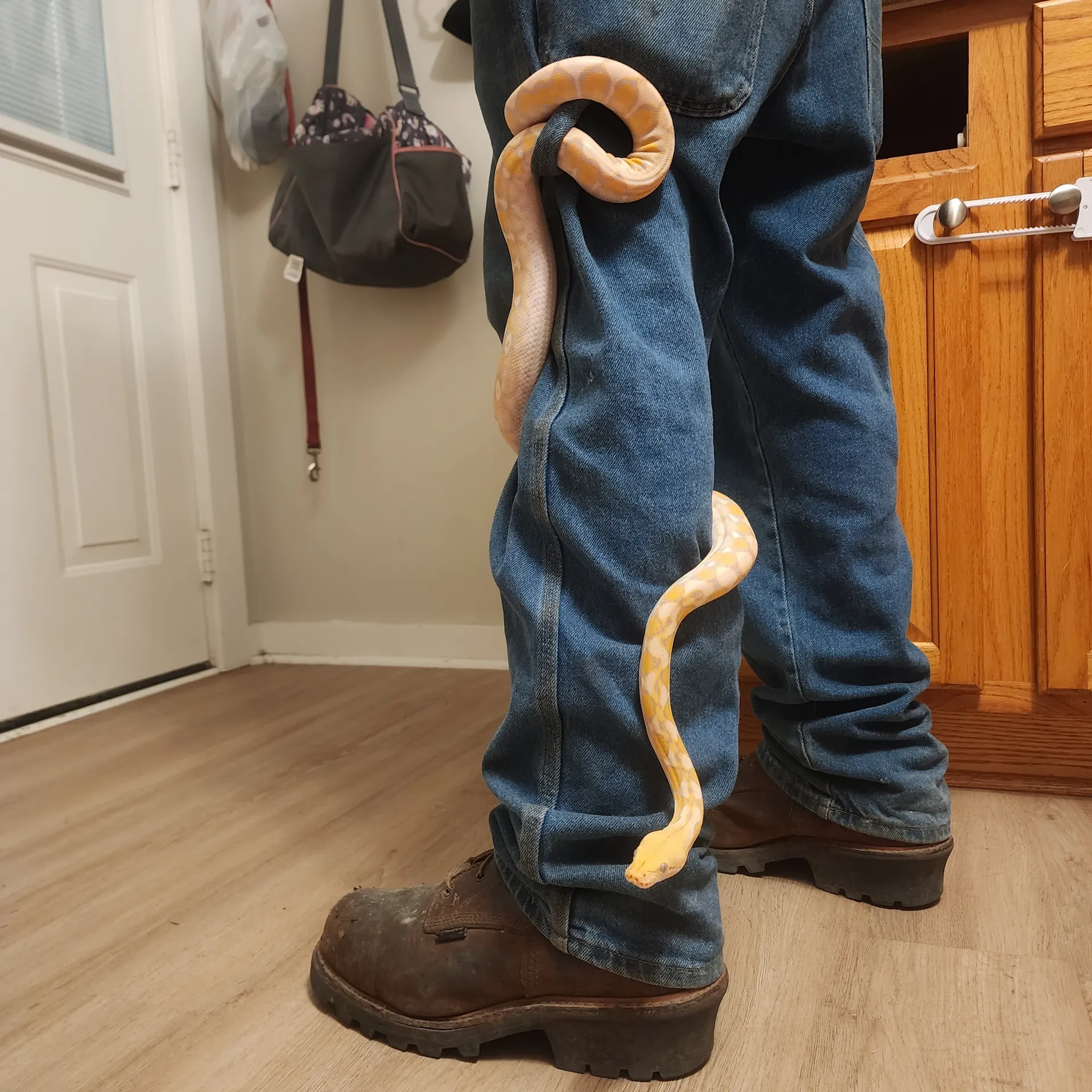 P Hammer OnlyFans header