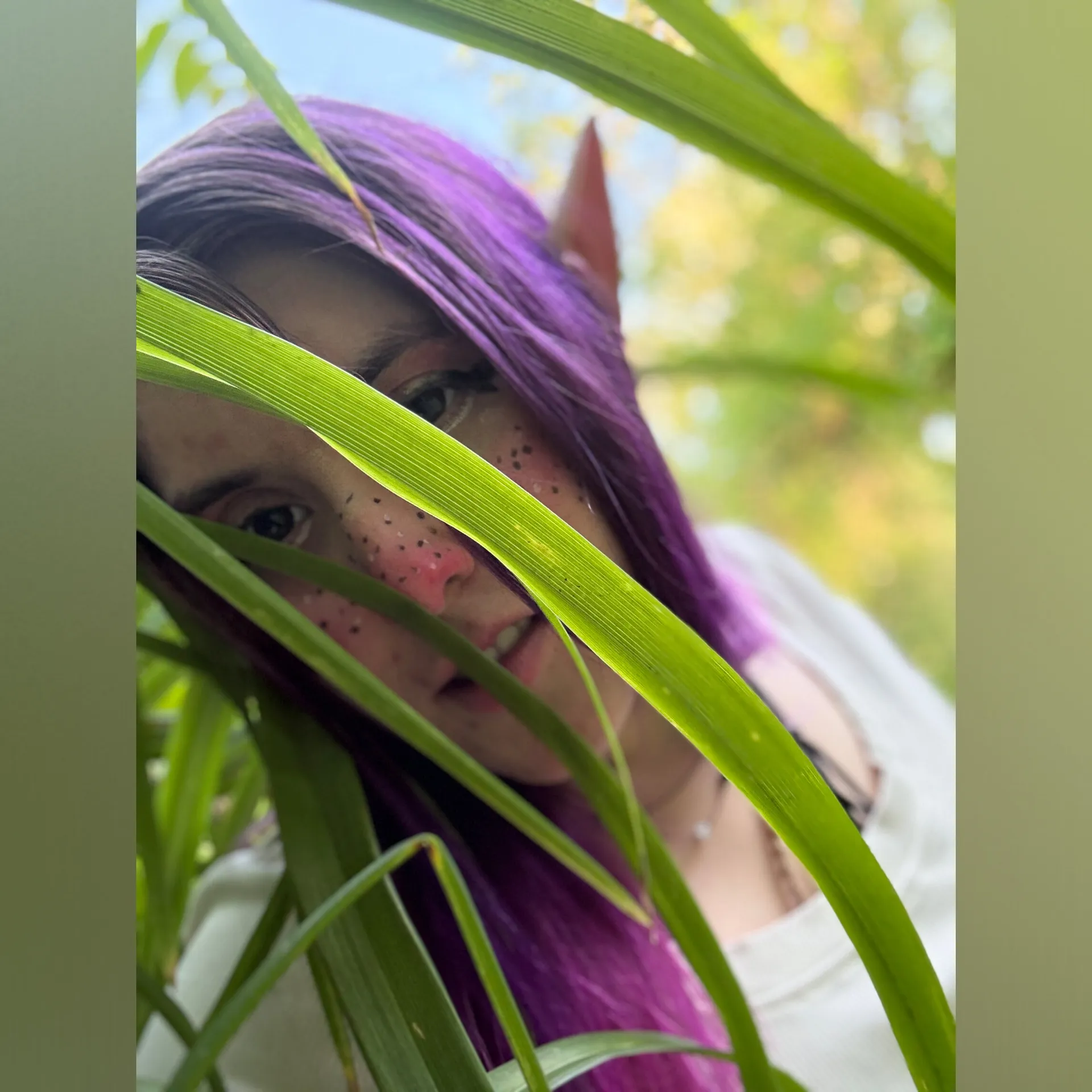 V cover