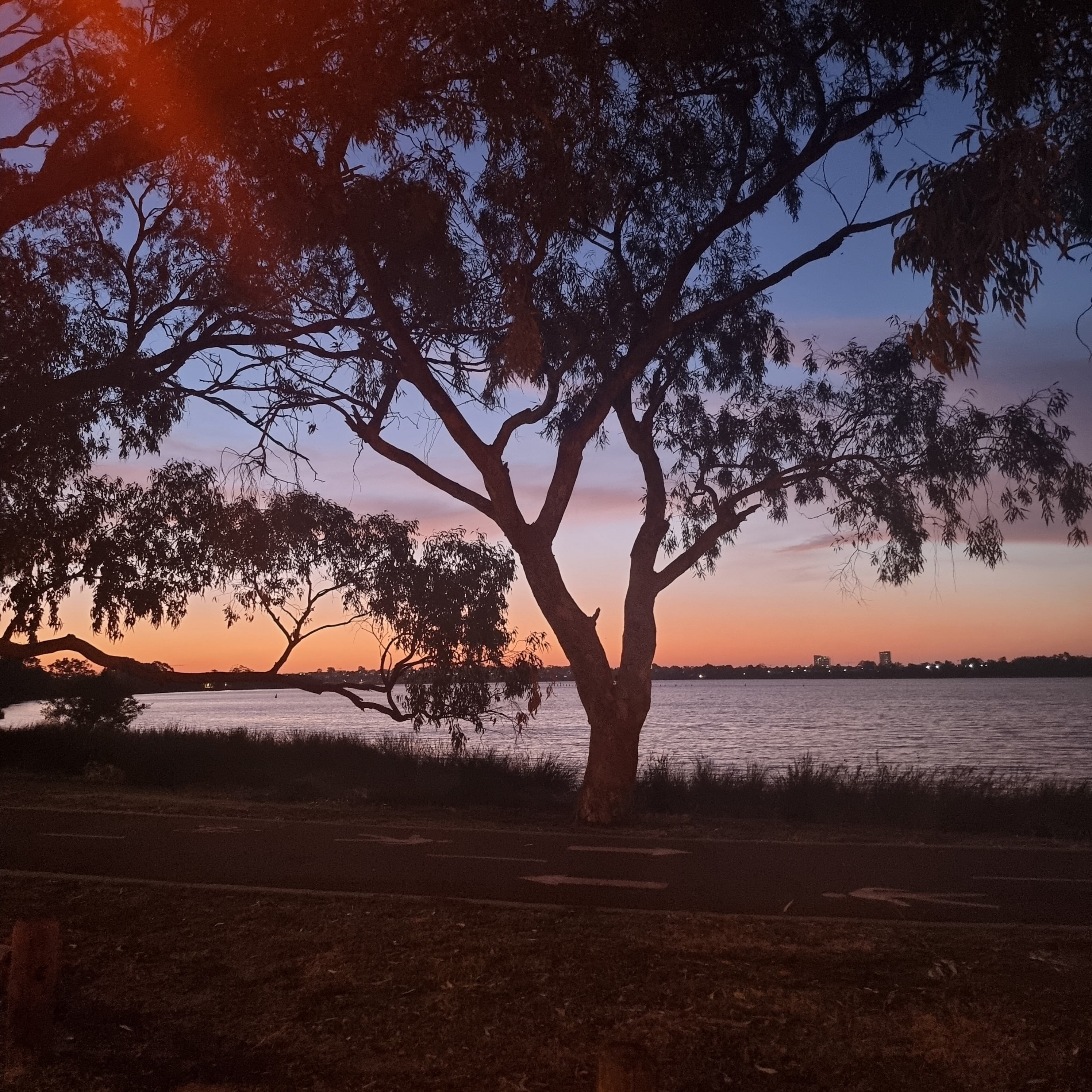 Ꮯhєчє OnlyFans header