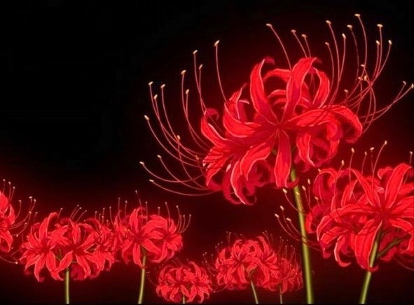 Just living ig❤️‍🔥 OnlyFans header