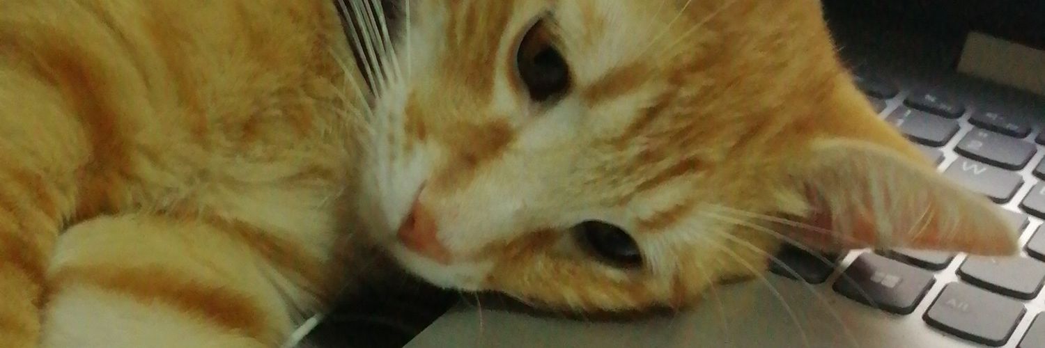 NvaCaa🐮 OnlyFans header