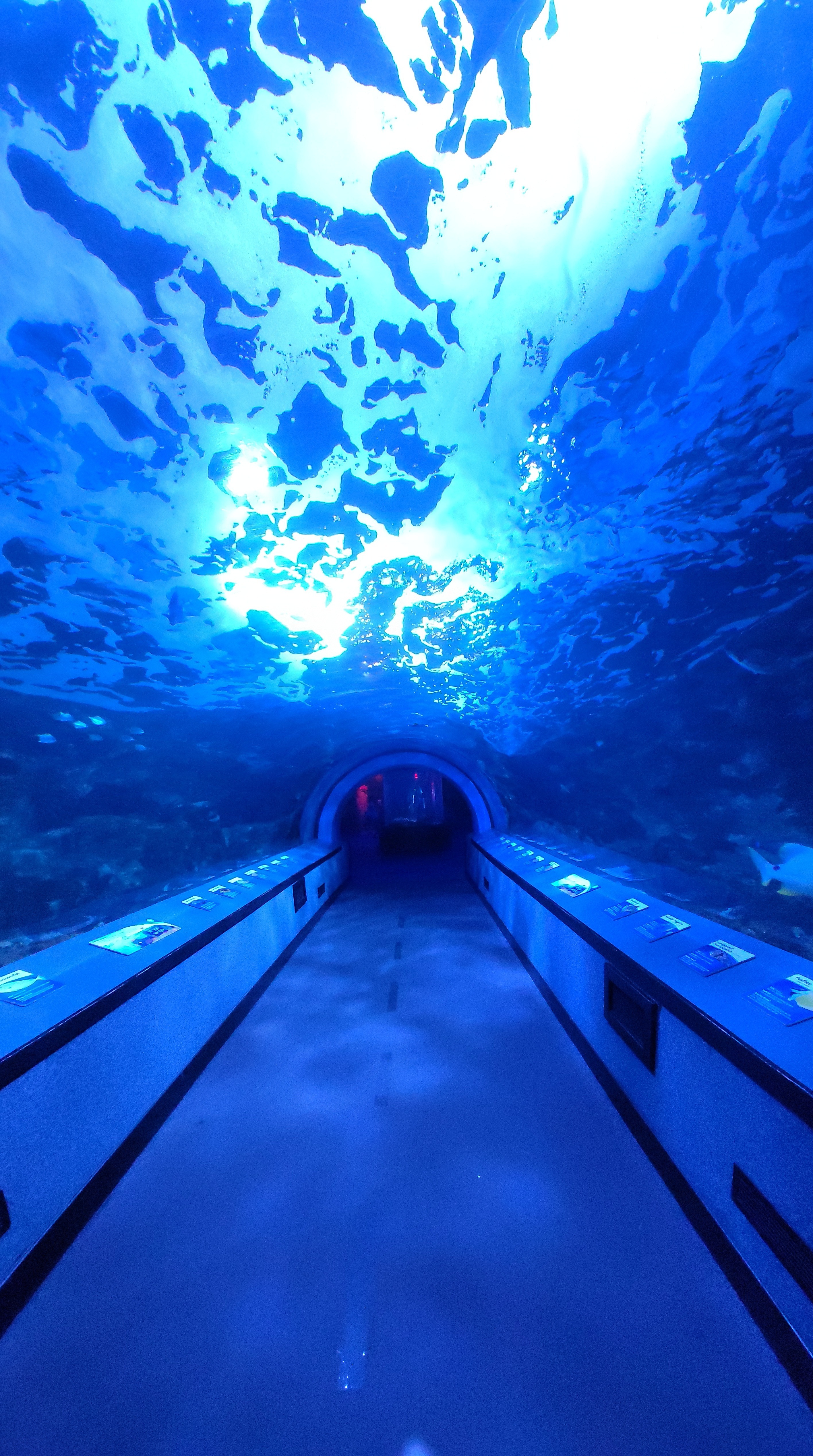 The Good Witch Vadania OnlyFans header