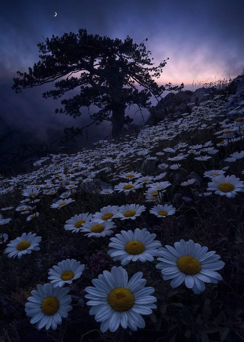 Elysia Varney OnlyFans header