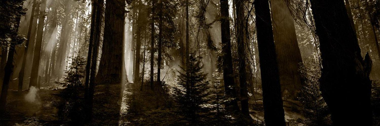 Vadnox OnlyFans header