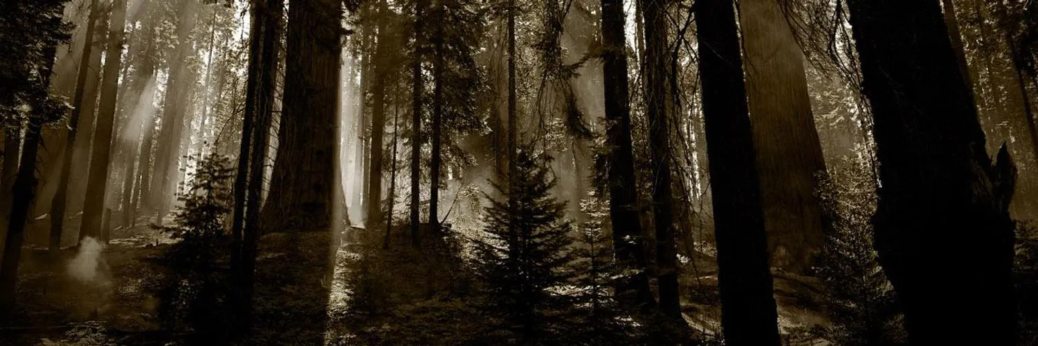 Vadnox OnlyFans header