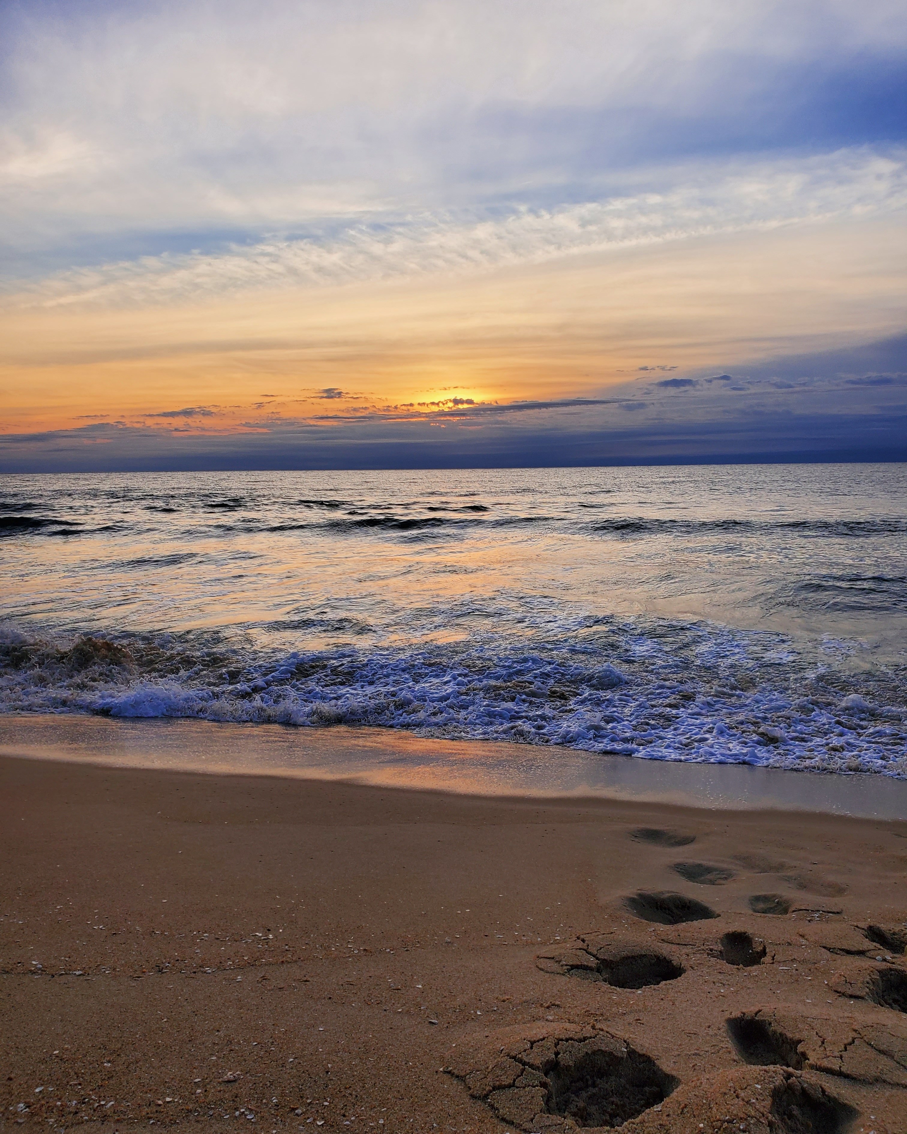 Honey OnlyFans header