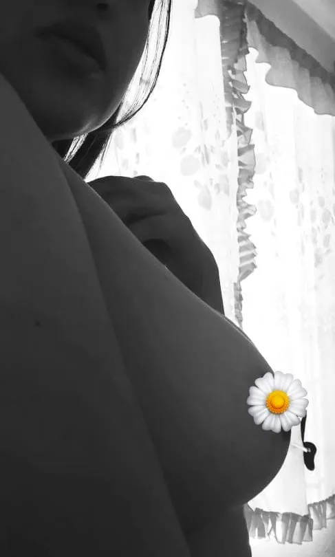 Vainilla 🌼 cover