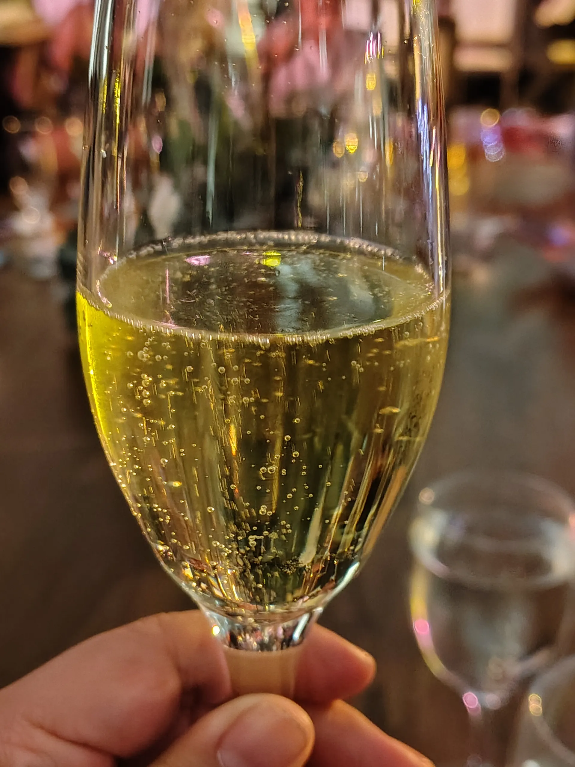 Vainilla Roja OnlyFans header